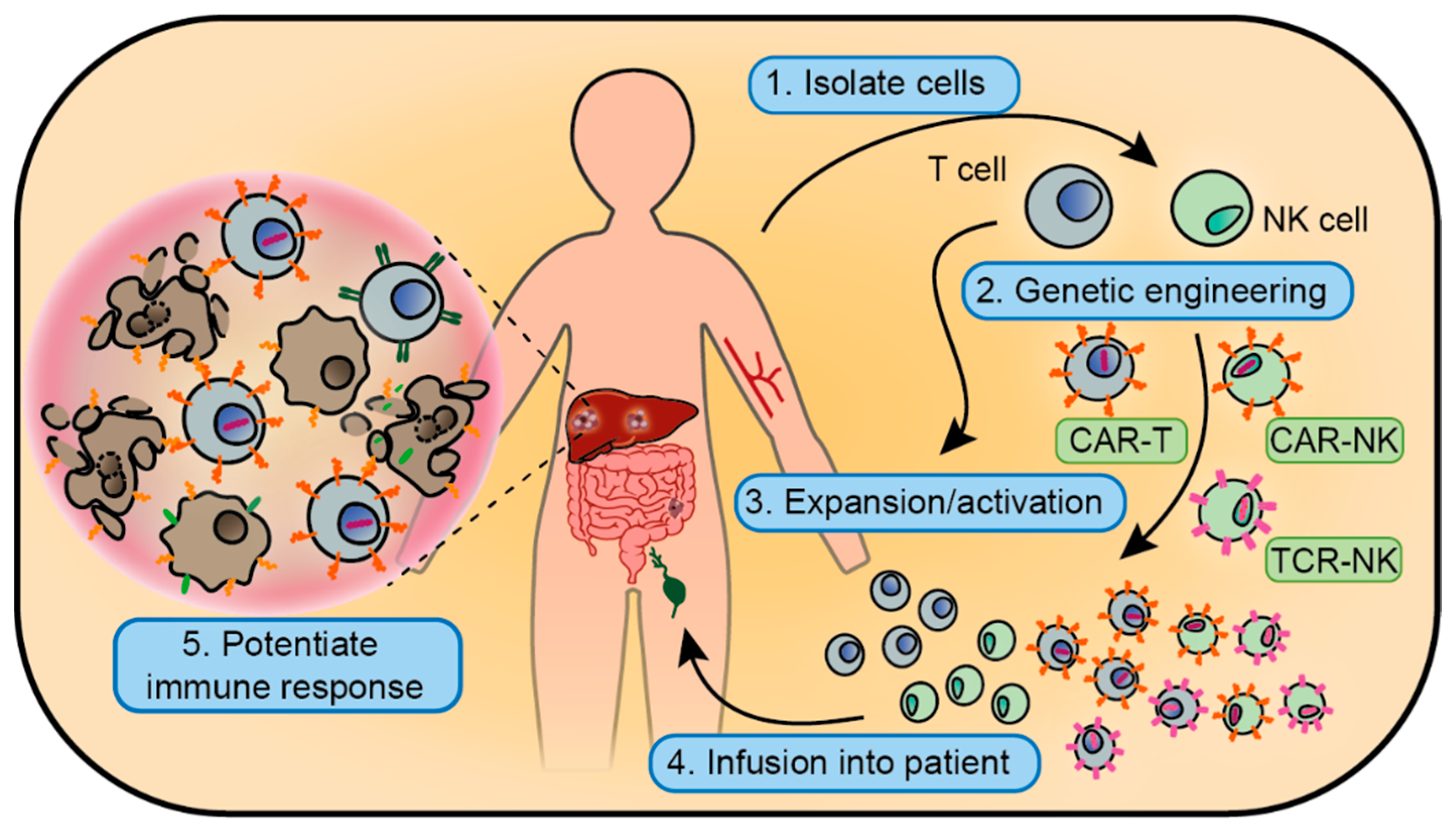 Cancers | Free Full-Text | Combinatorial Immunotherapies for Metastatic  Colorectal Cancer | HTML
