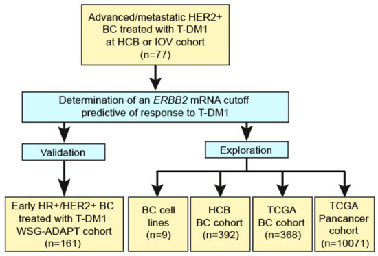 Cancers | Free Full-Text | ERBB2 mRNA Expression and Response to  Ado-Trastuzumab Emtansine (T-DM1) in HER2-Positive Breast Cancer