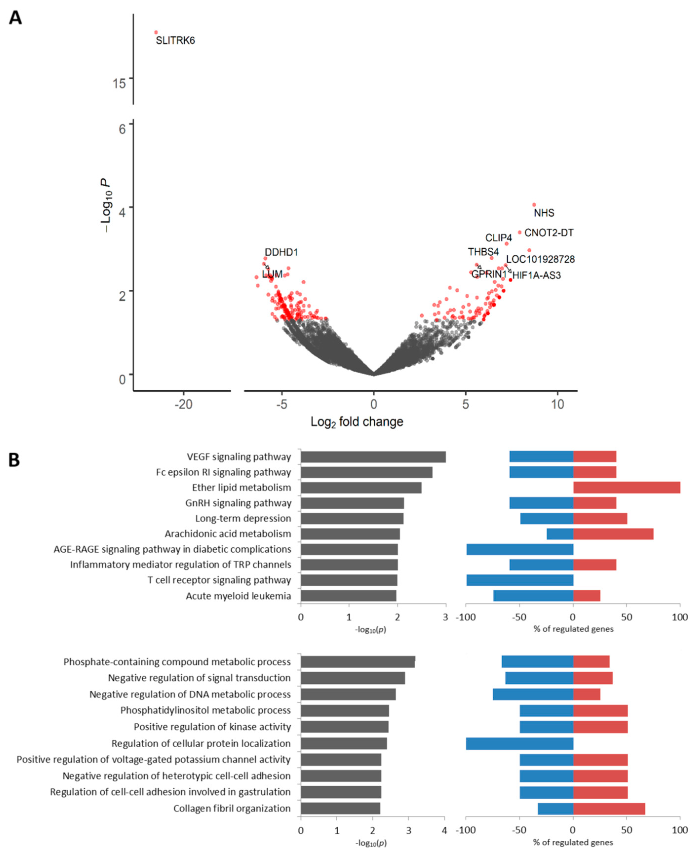 Cancers 12 01909 g003