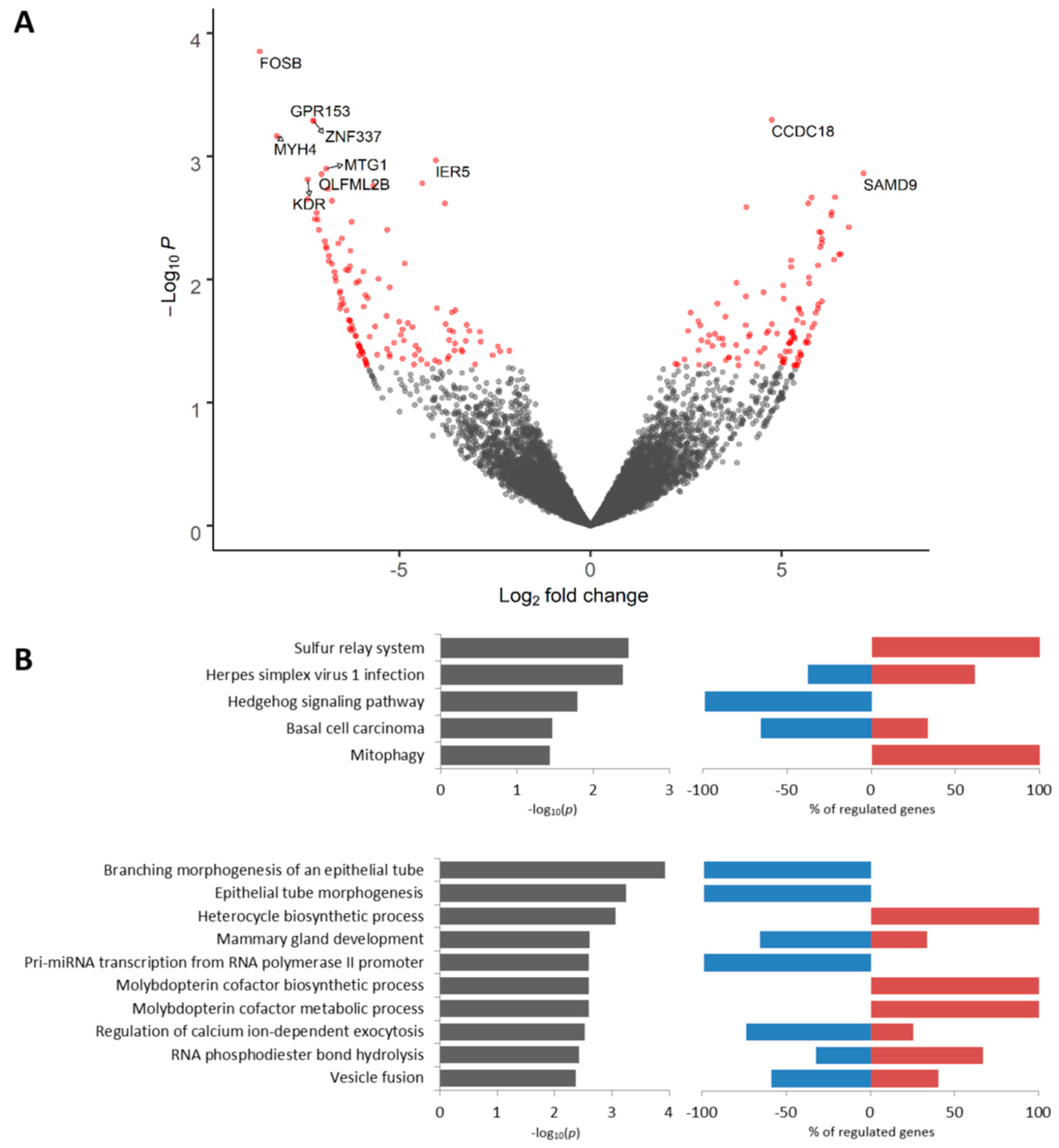 Cancers 12 01909 g004