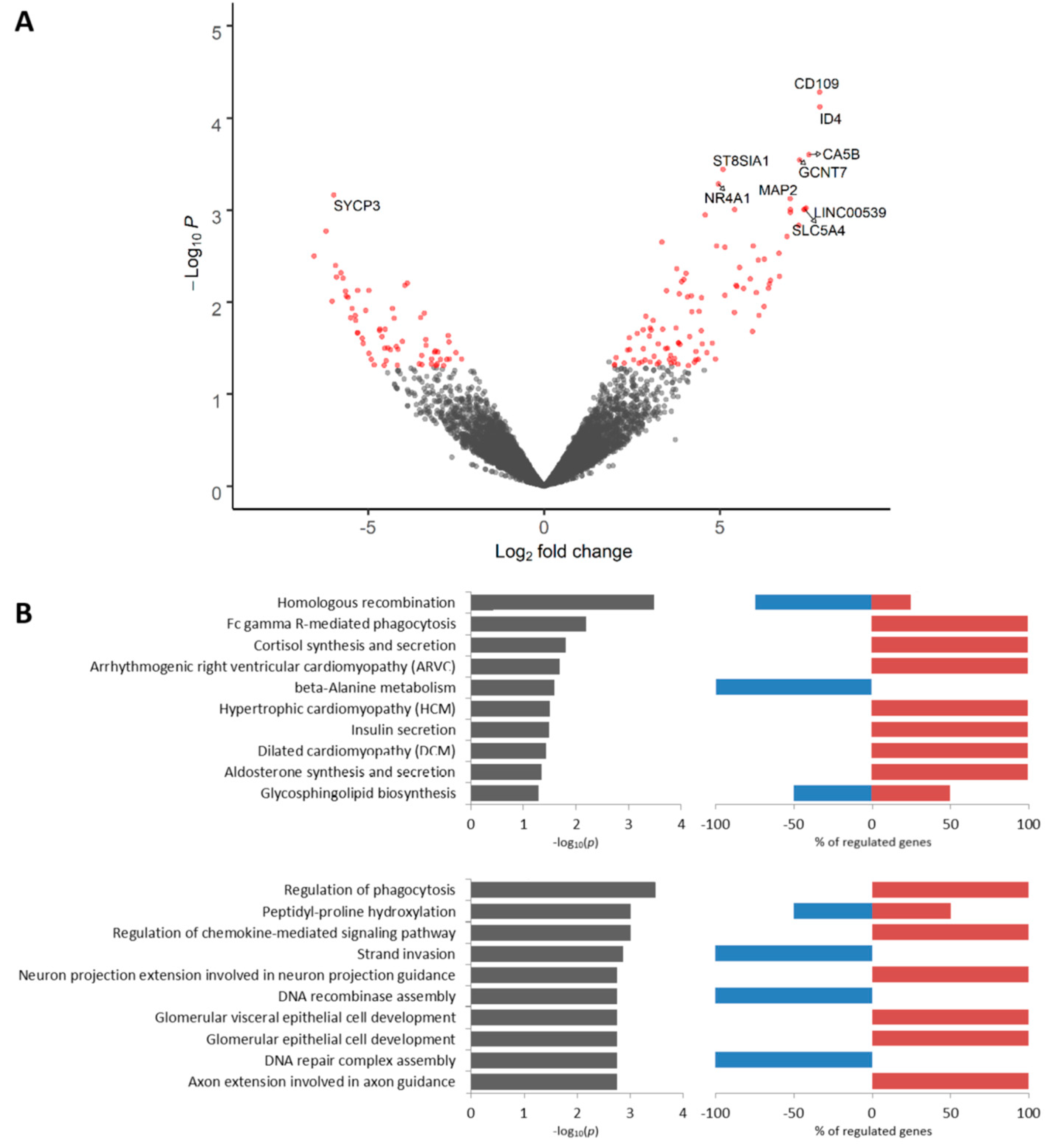 Cancers 12 01909 g005