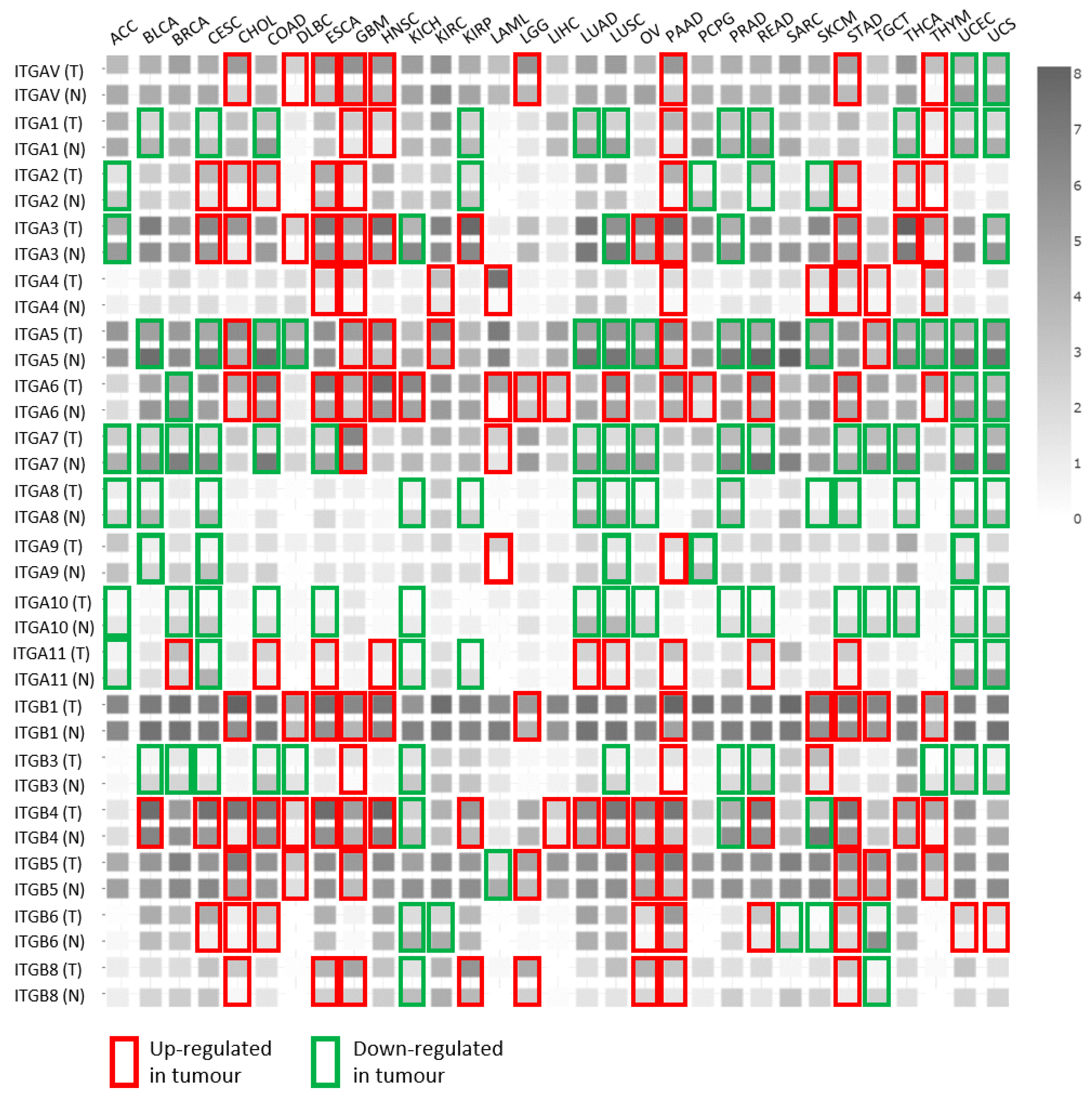 Cancers 12 01910 g002