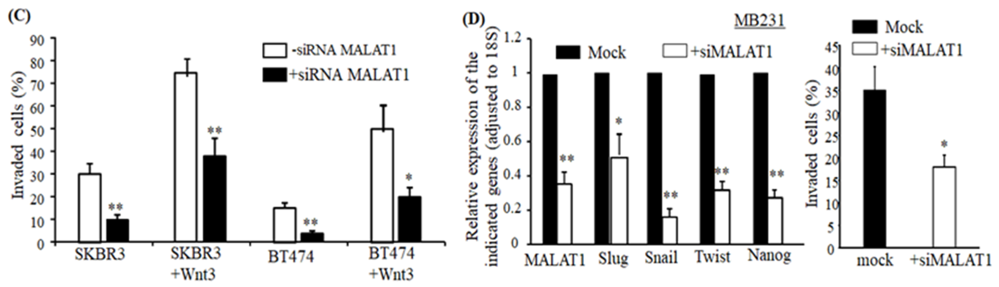 Cancers 12 01918 g003b