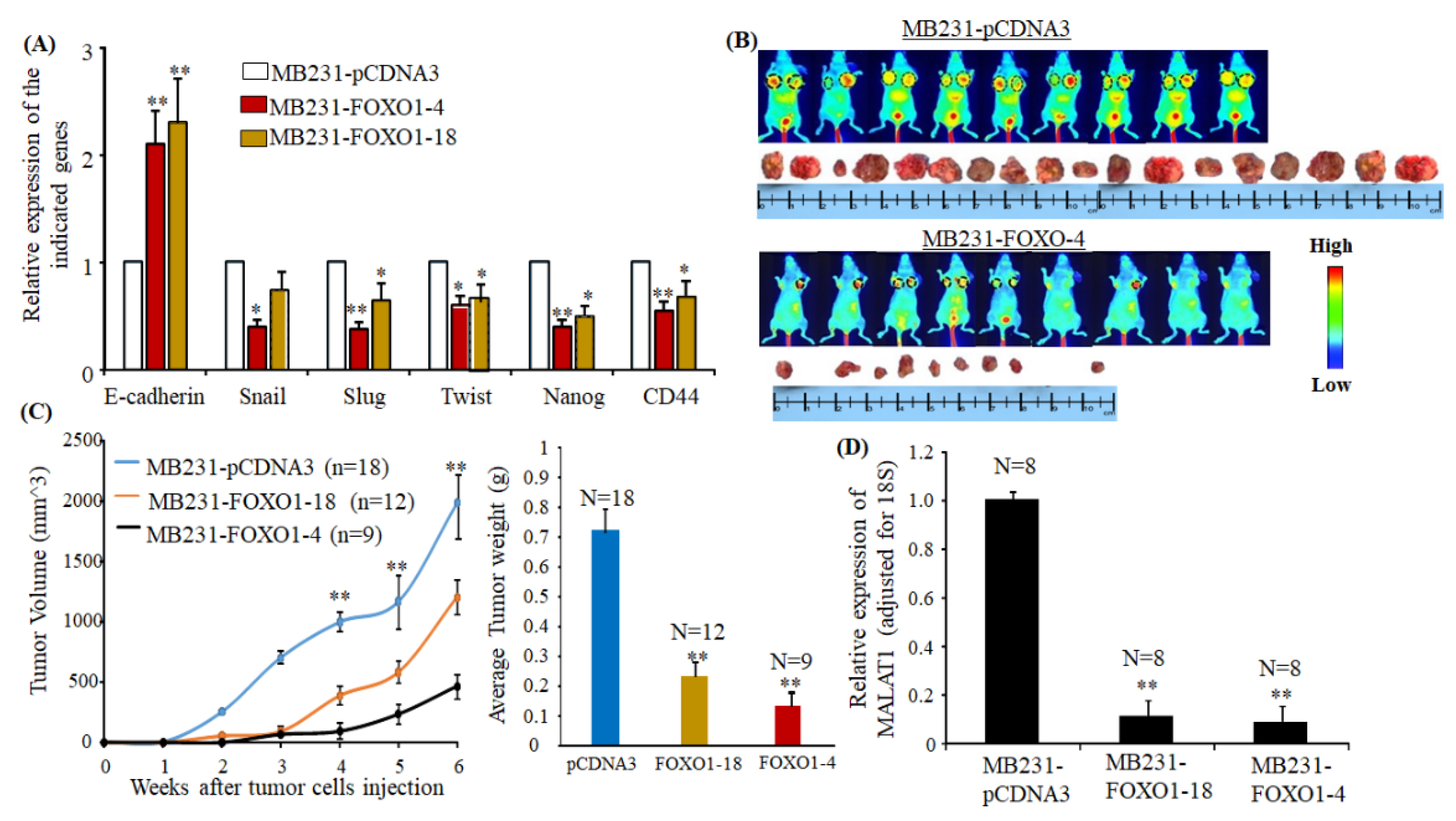 Cancers 12 01918 g006