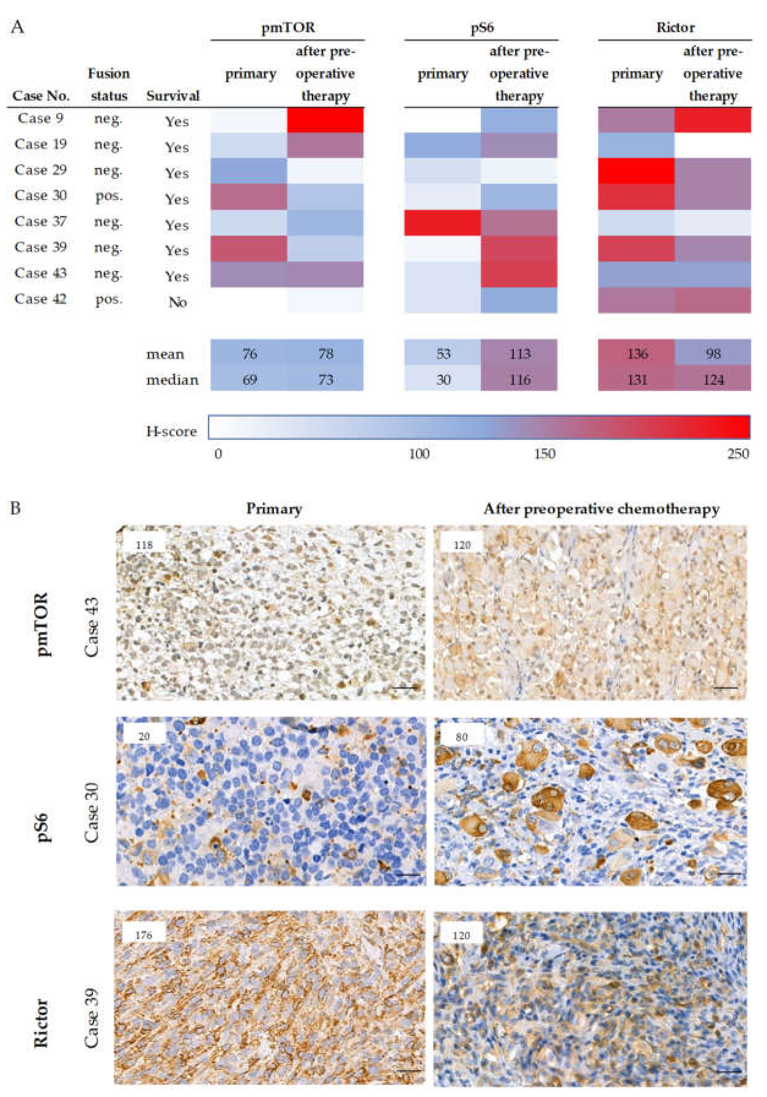 Cancers 12 01947 g002
