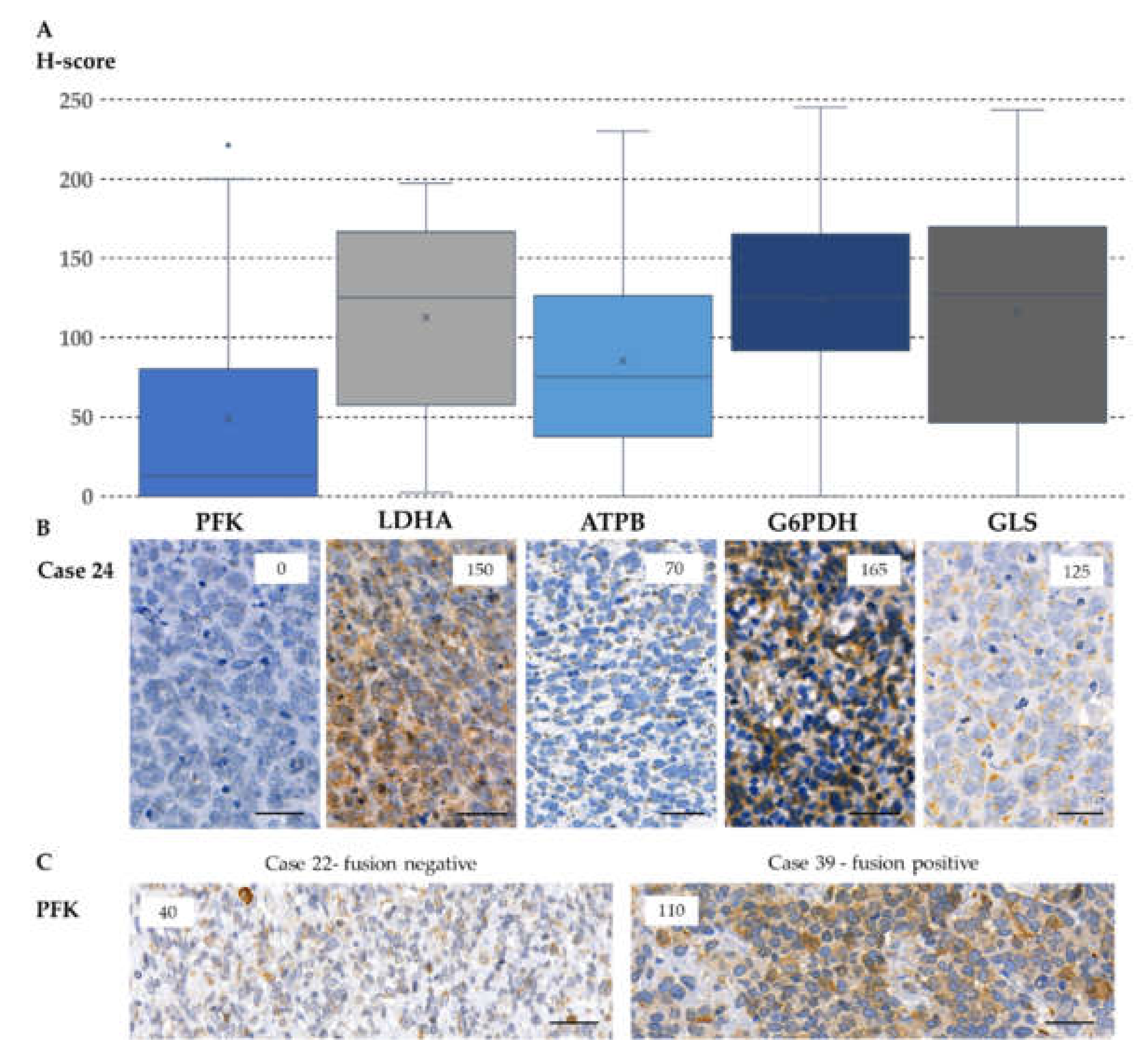 Cancers 12 01947 g004