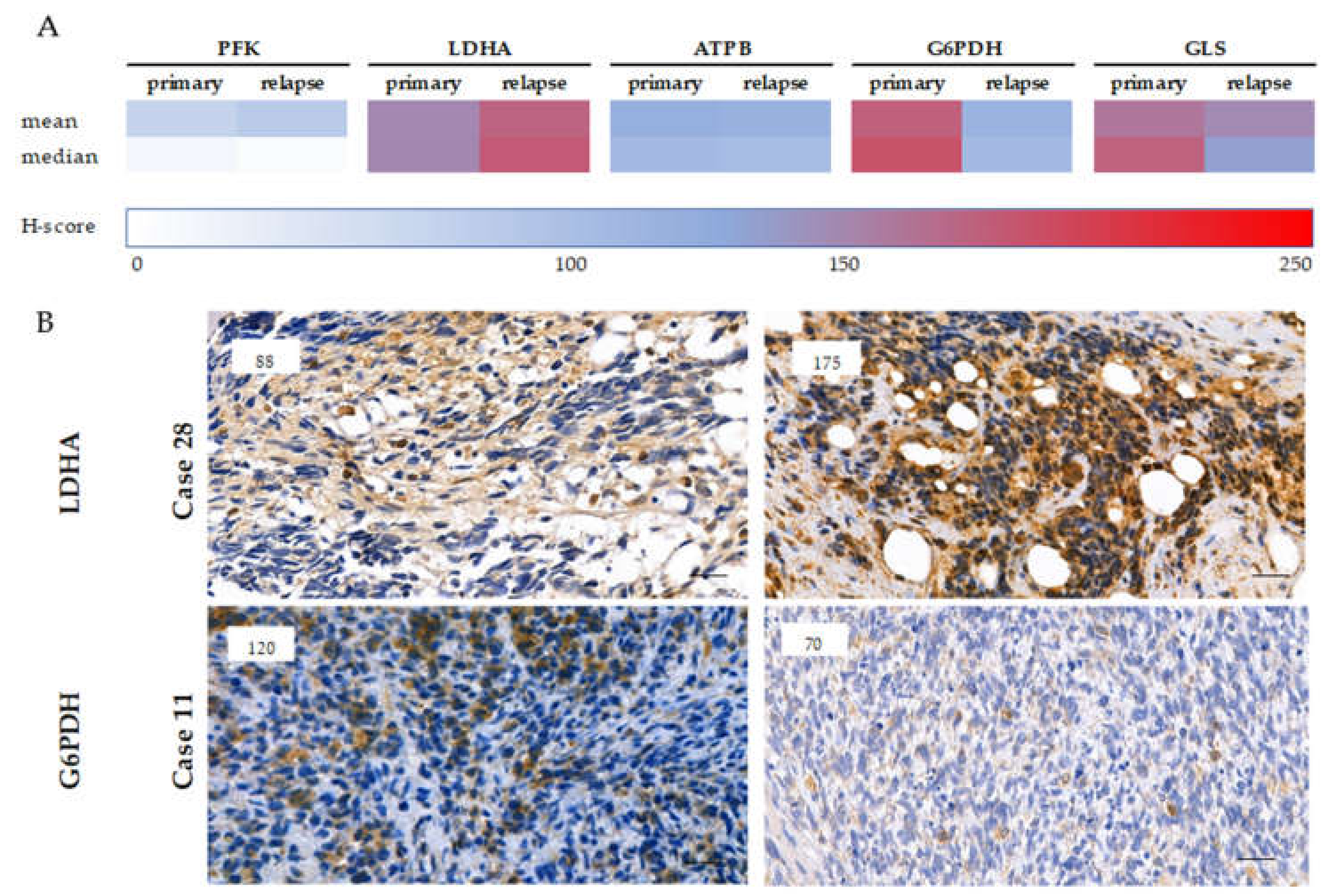 Cancers 12 01947 g005