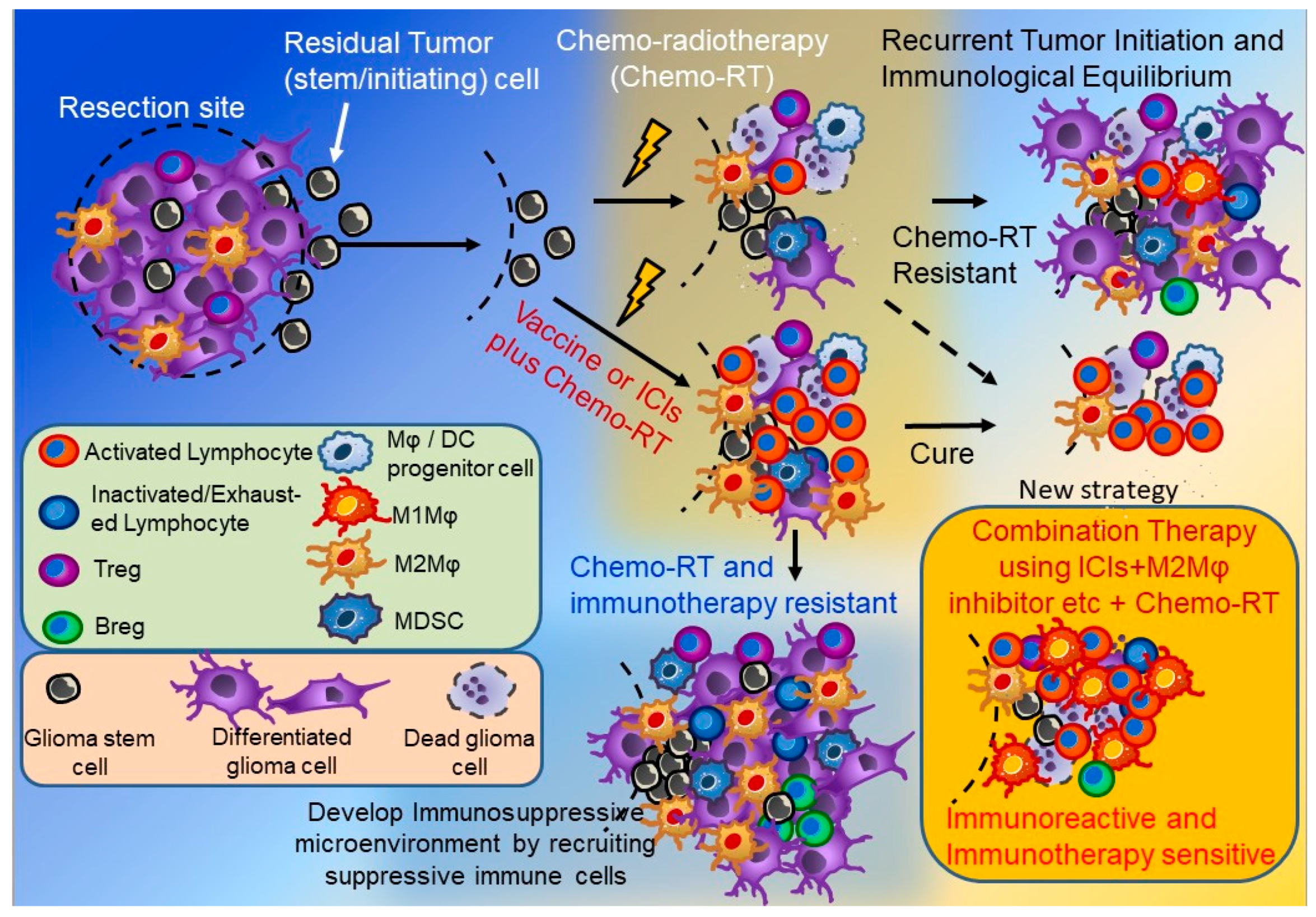Cancers | Free Full-Text | Therapeutic Strategies for Overcoming  Immunotherapy Resistance Mediated by Immunosuppressive Factors of the  Glioblastoma Microenvironment | HTML