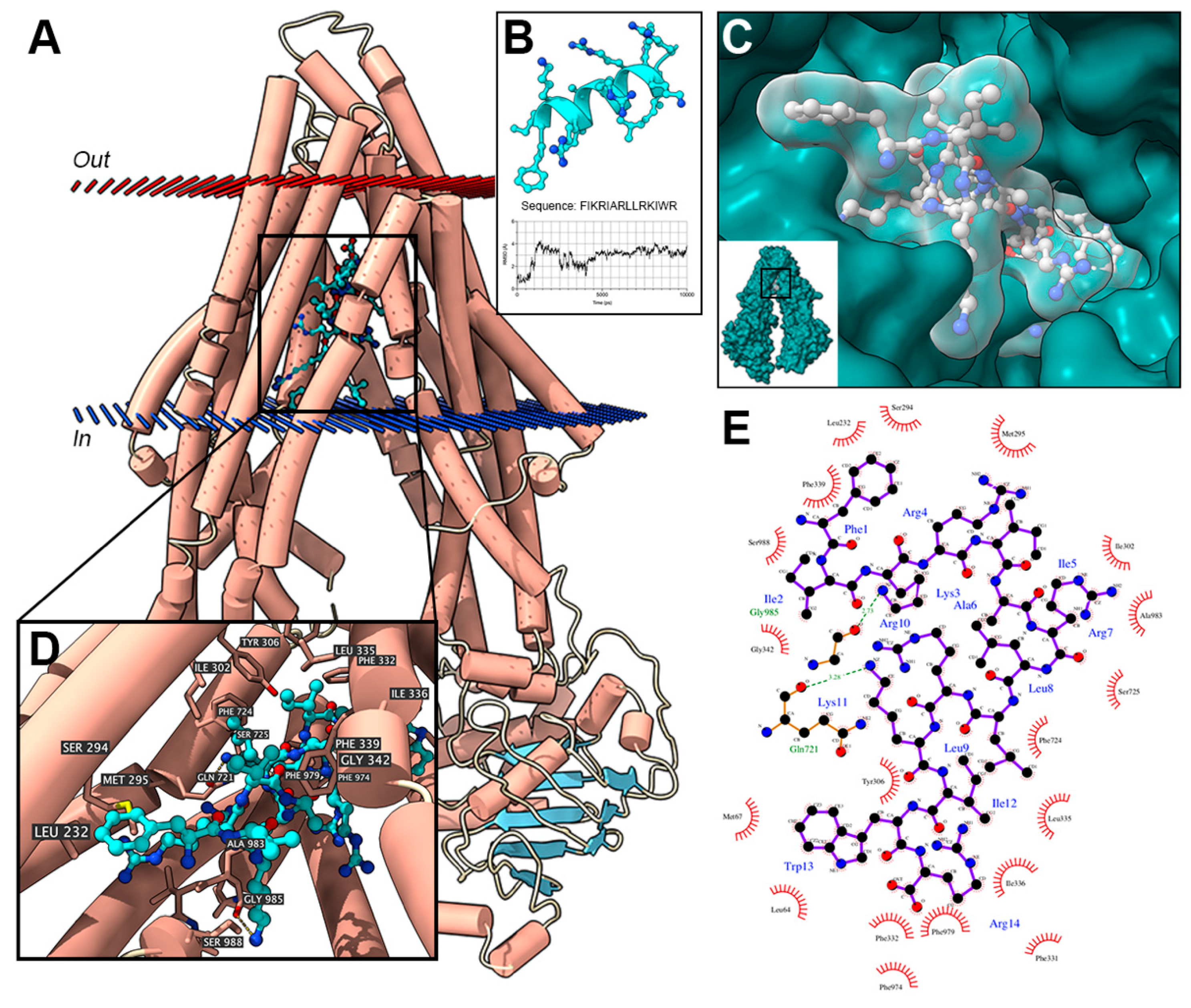 Cancers Free Full Text The Multidrug Resistance Reversing Activity Of A Novel Antimicrobial Peptide Html