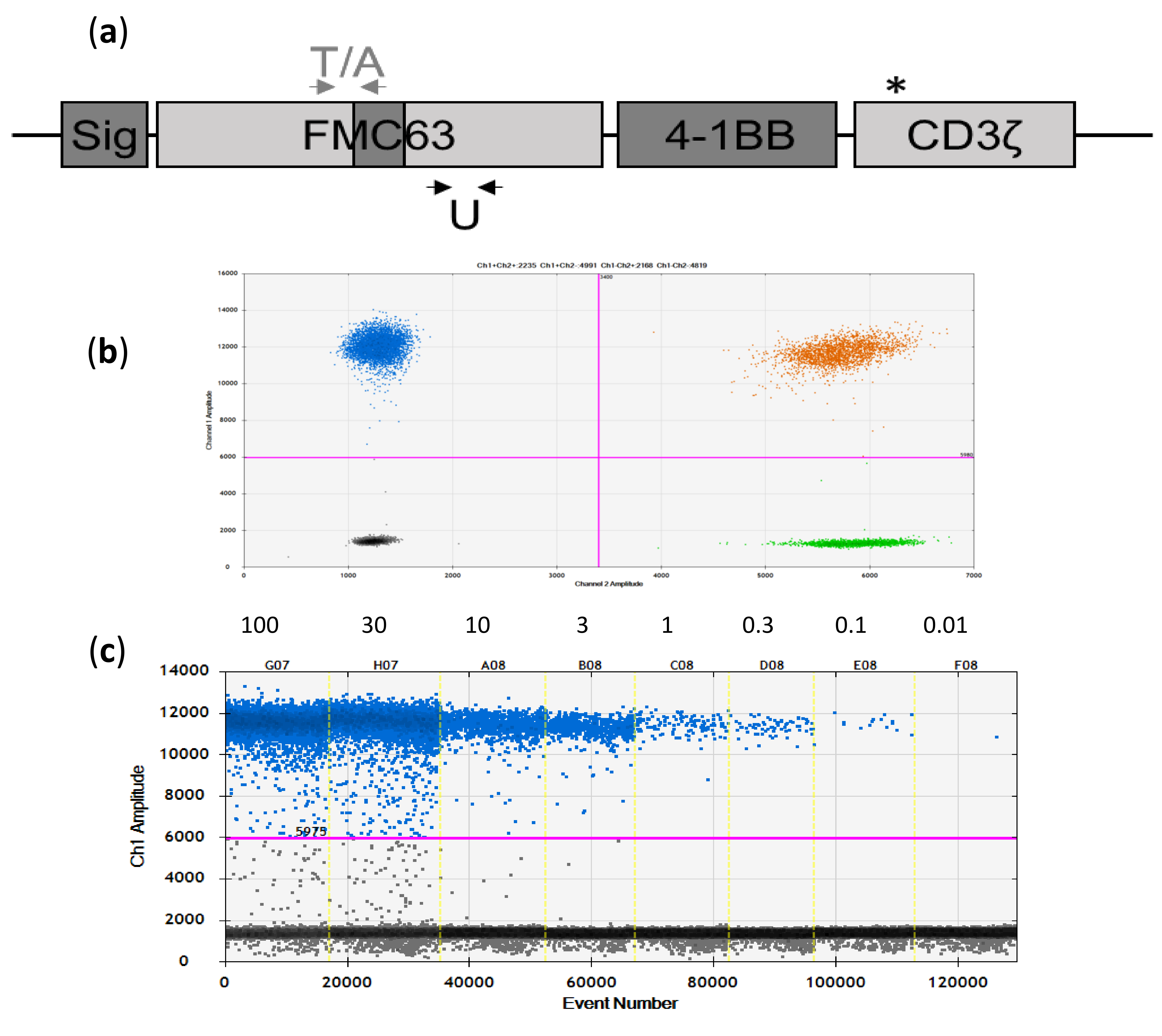 Cancers 12 01970 g001 Cancers 12 01970 g001