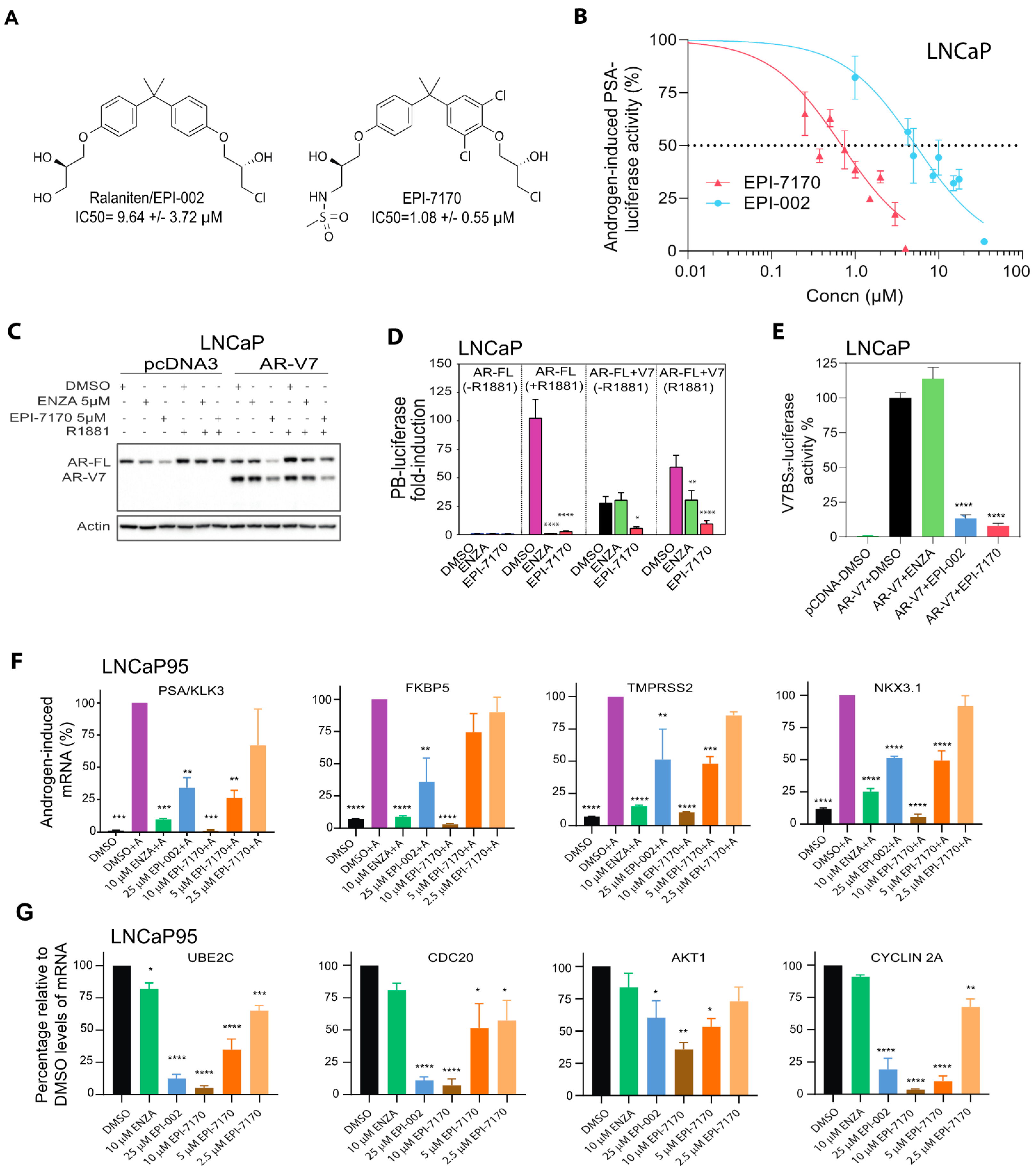 Cancers 12 01991 g001