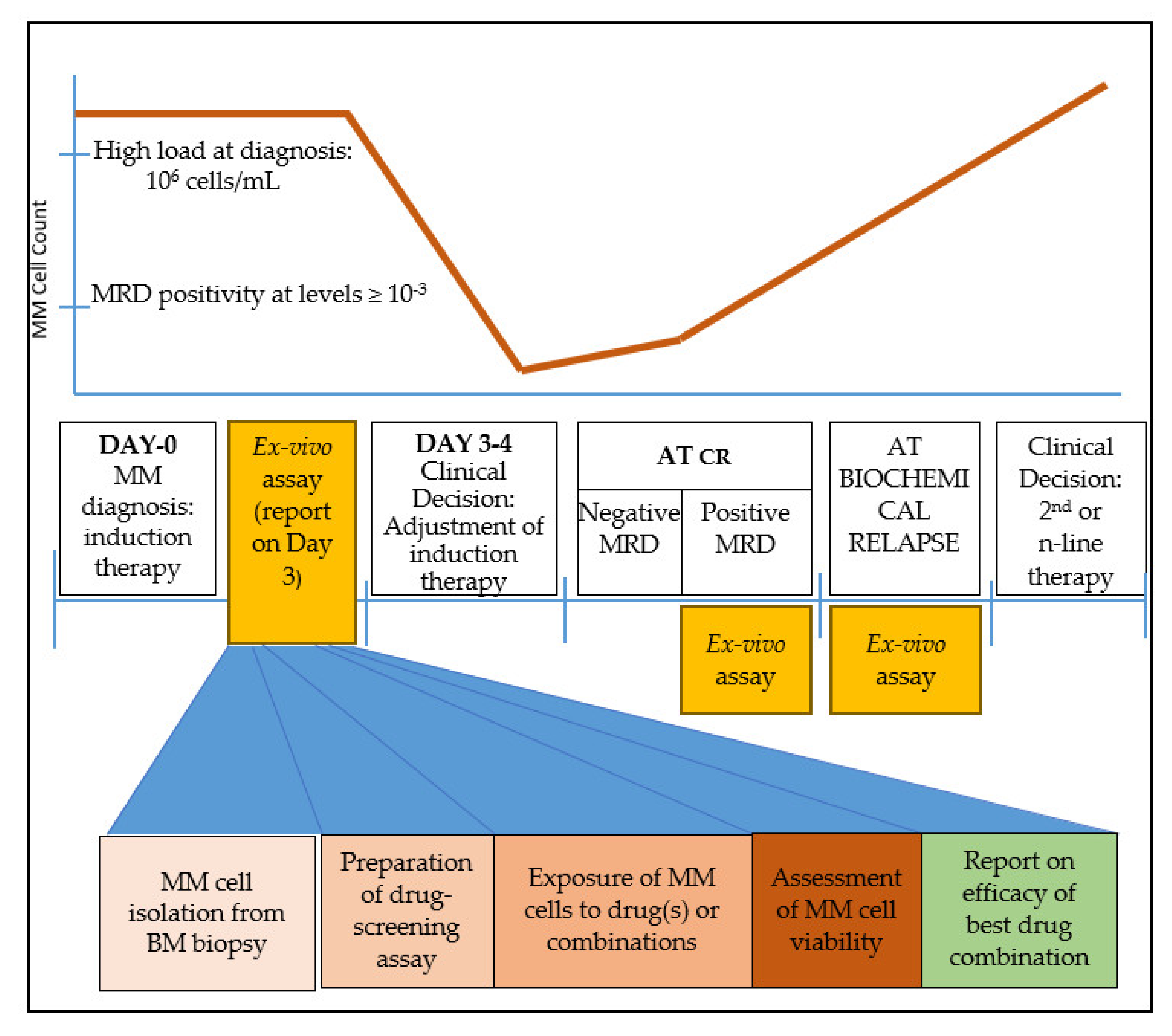 Cancers 12 02006 g001