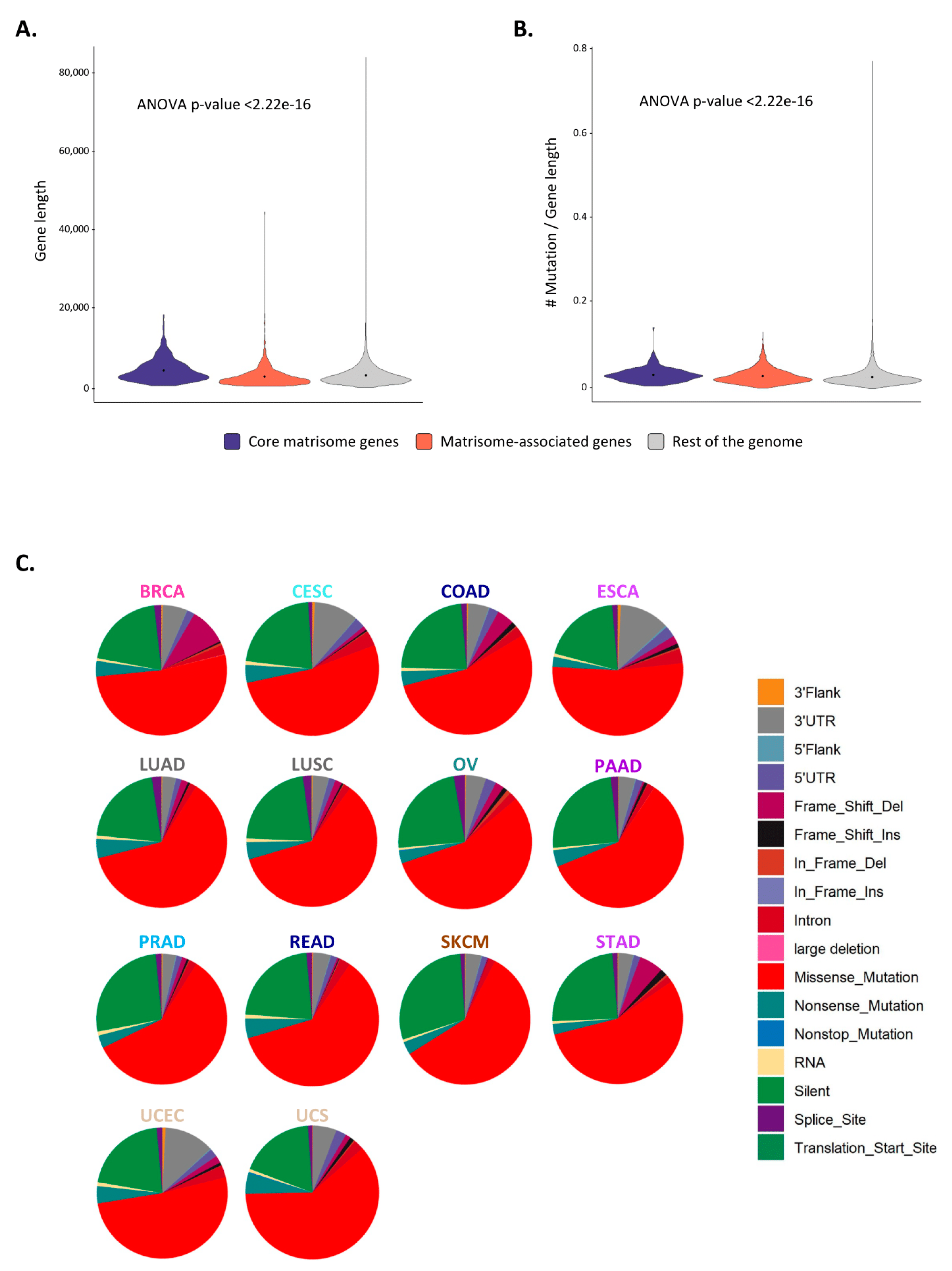 Cancers 12 02046 g003 Cancers 12 02046 g003