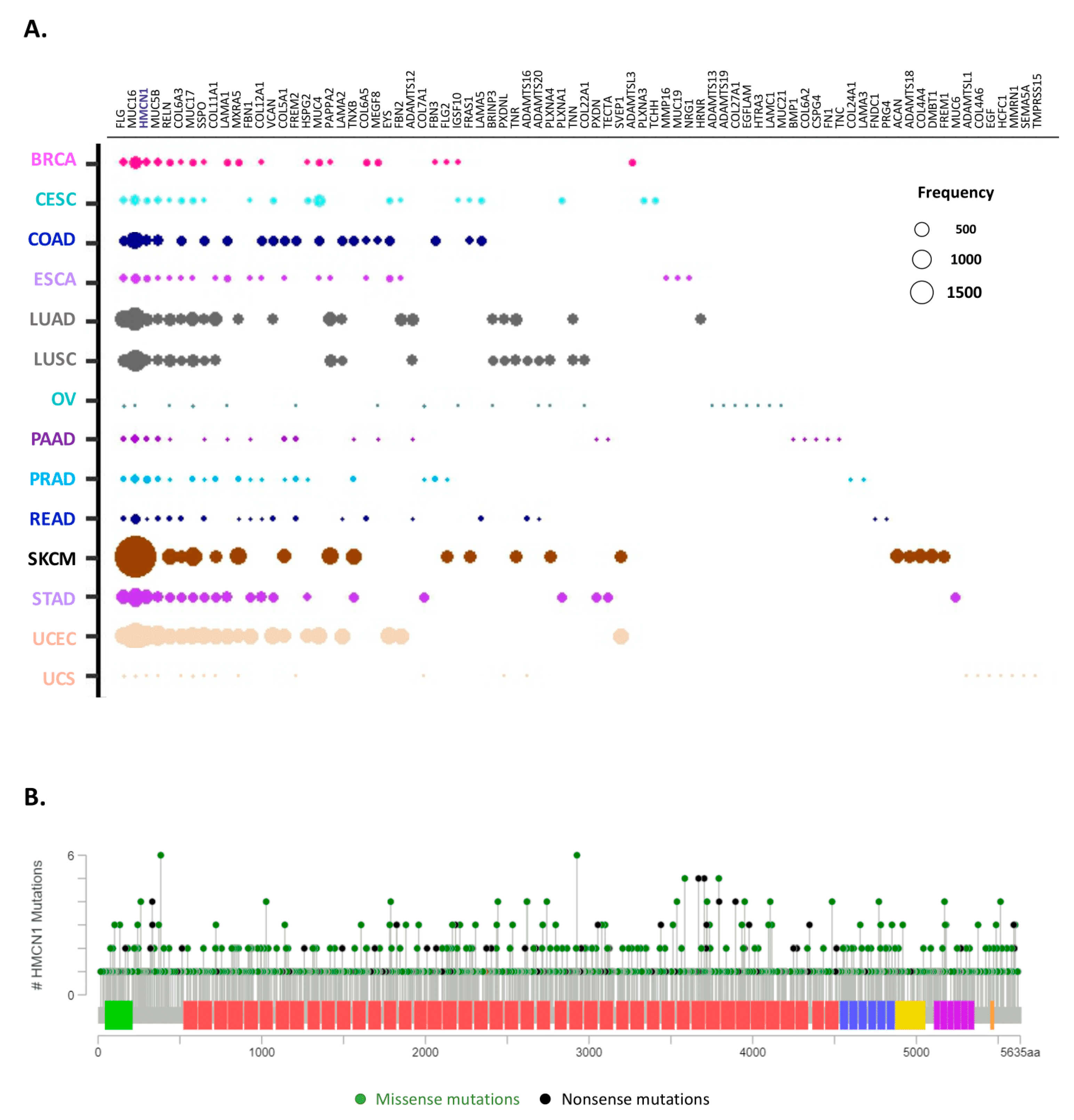 Cancers 12 02046 g006 Cancers 12 02046 g006