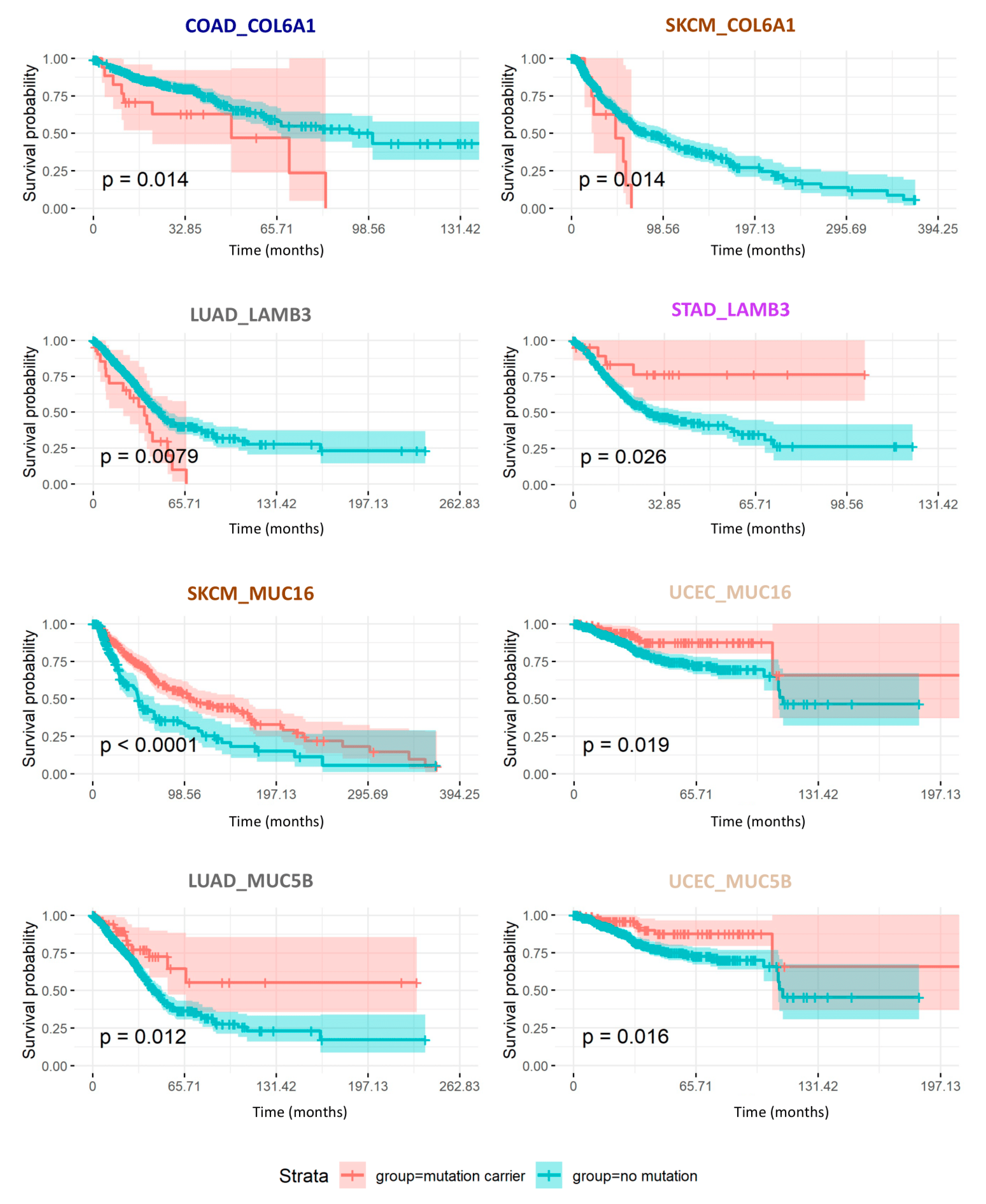 Cancers 12 02046 g007 Cancers 12 02046 g007