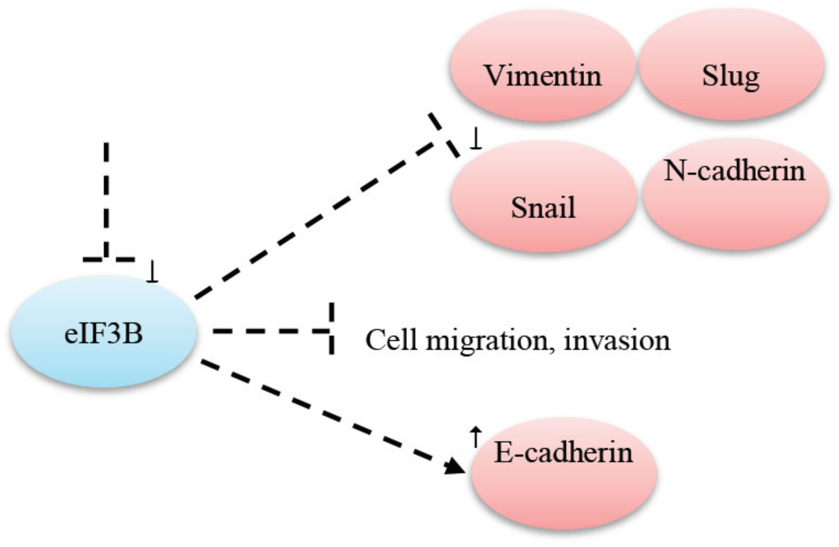 Cancers 12 02074 g001