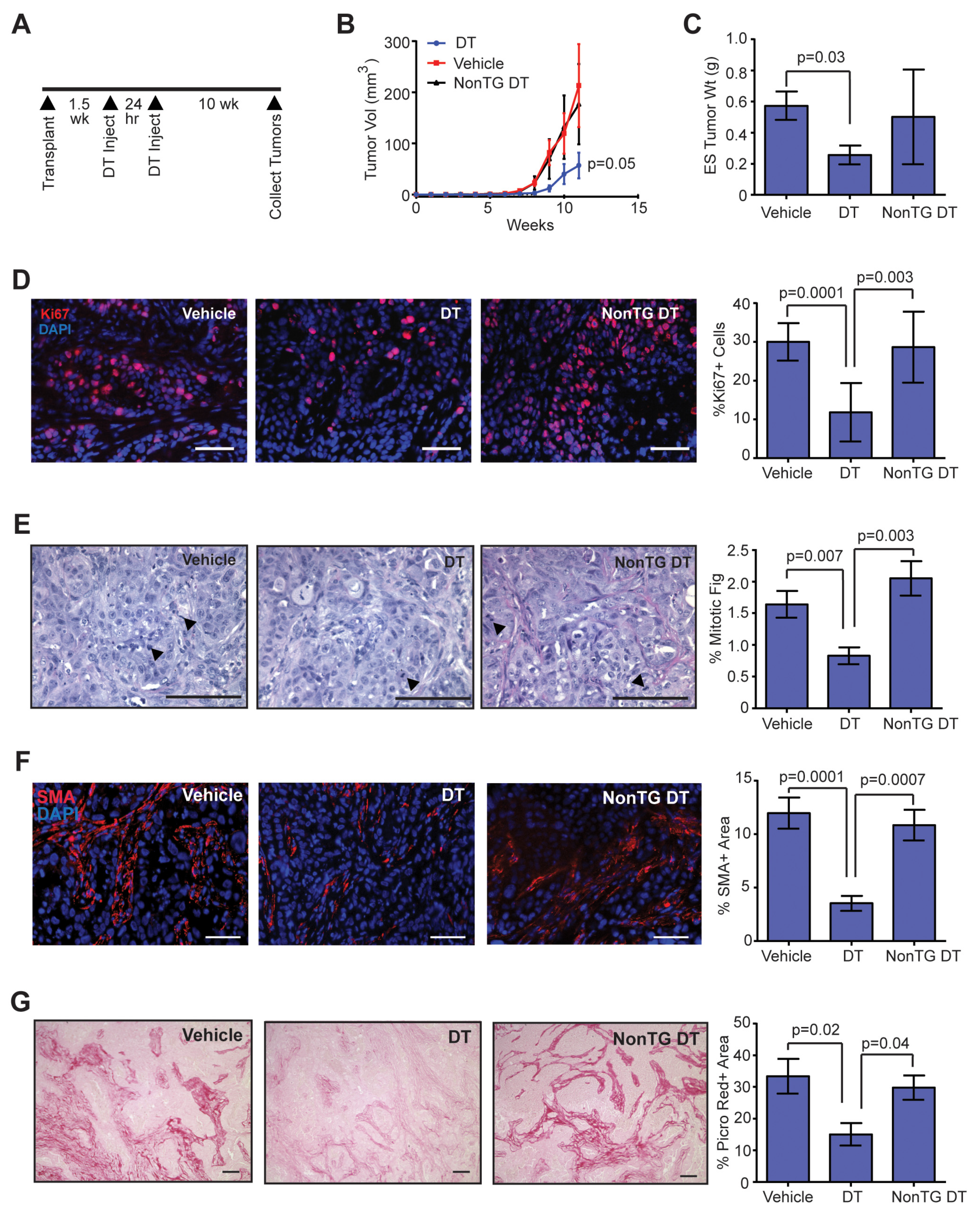 Cancers 12 02083 g003