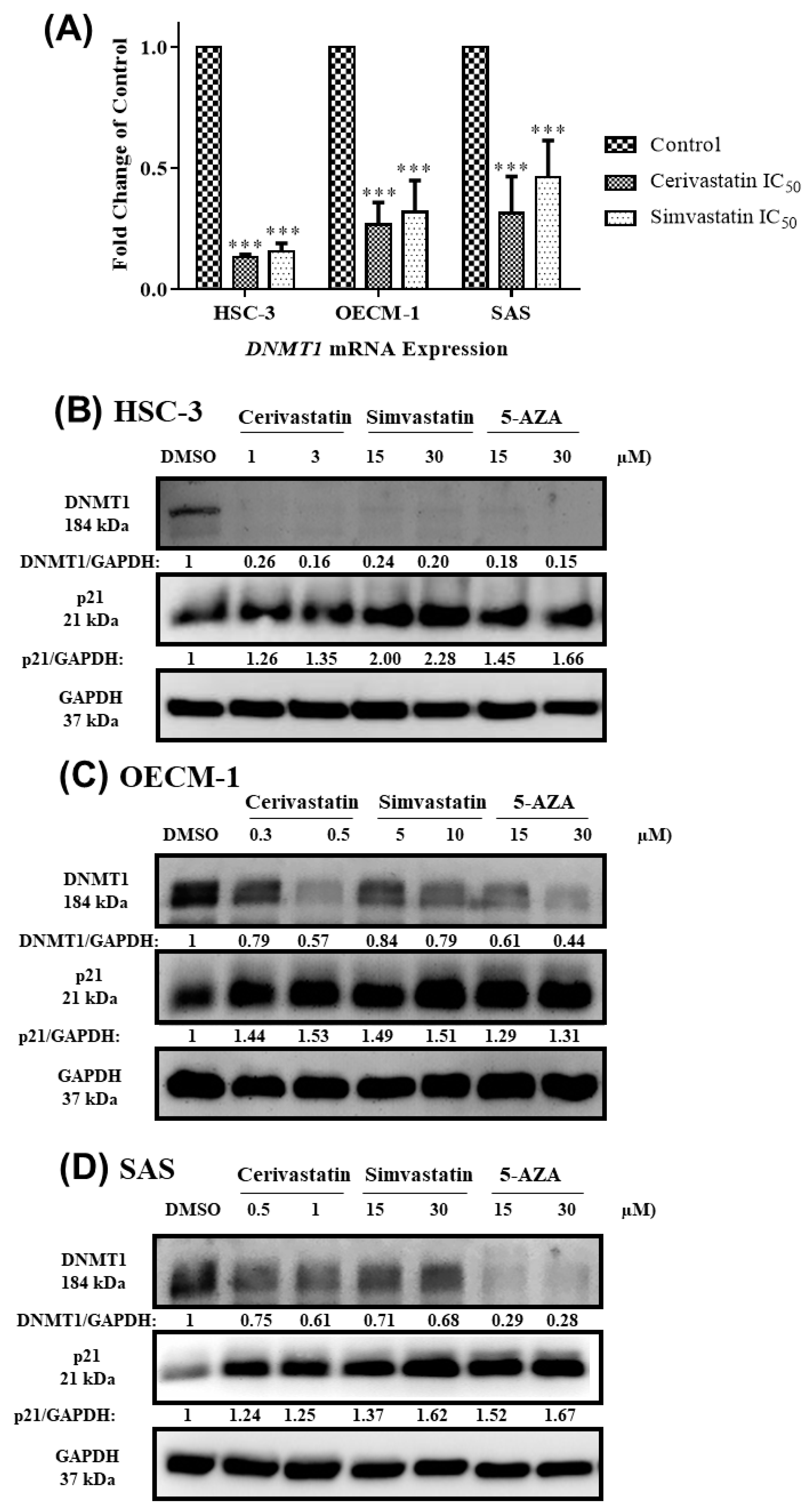 Cancers 12 02084 g005 Cancers 12 02084 g005