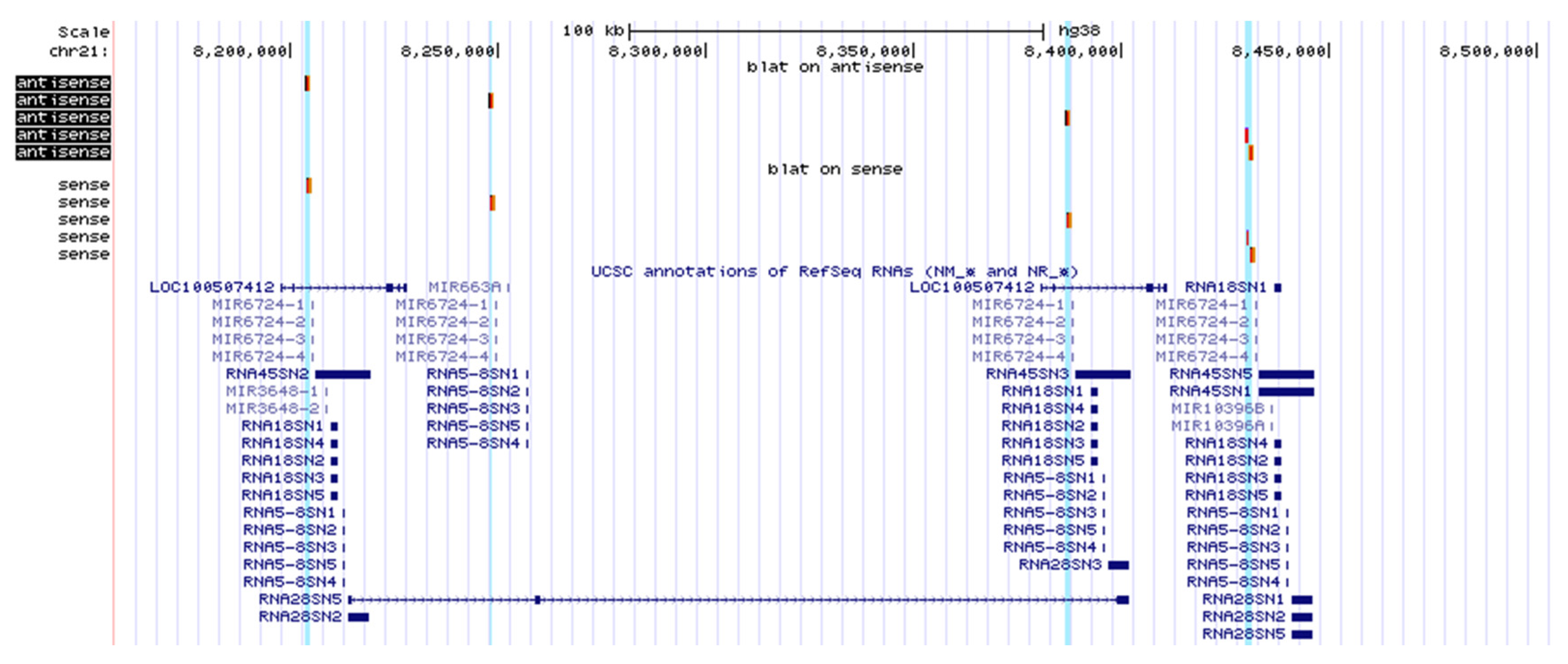 Cancers 12 02090 g007 Cancers 12 02090 g007