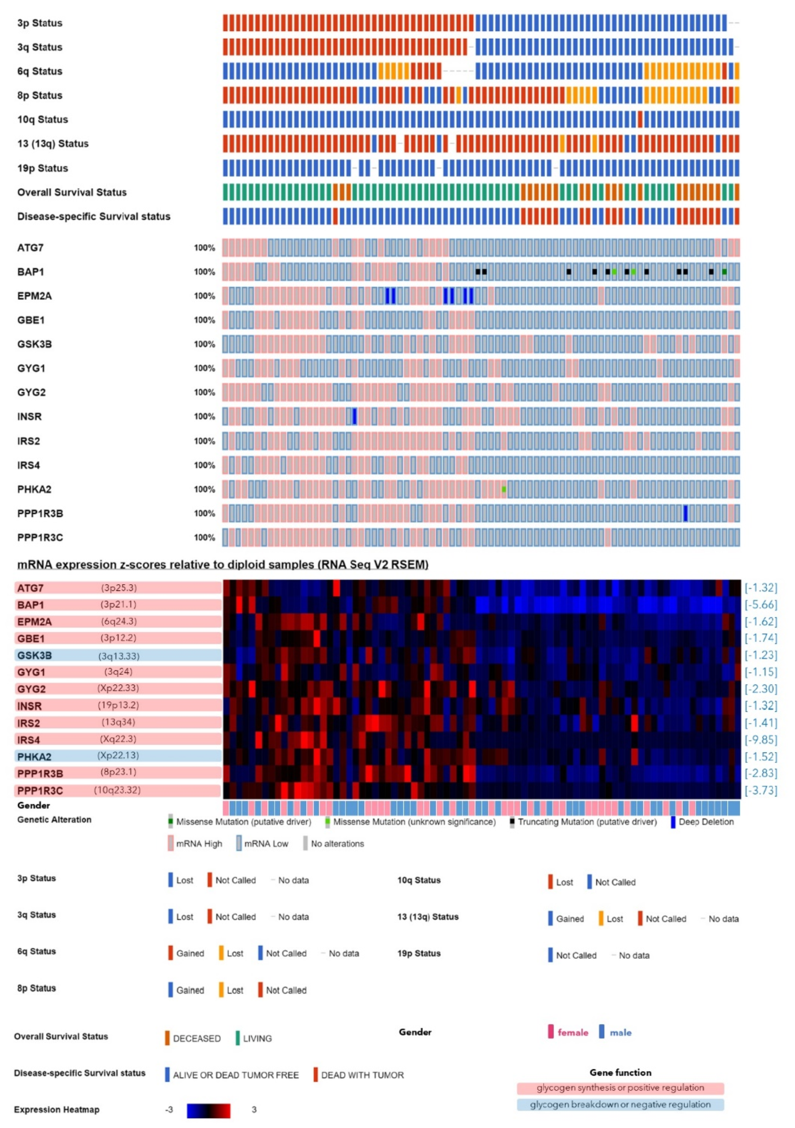 Cancers 12 02101 g002