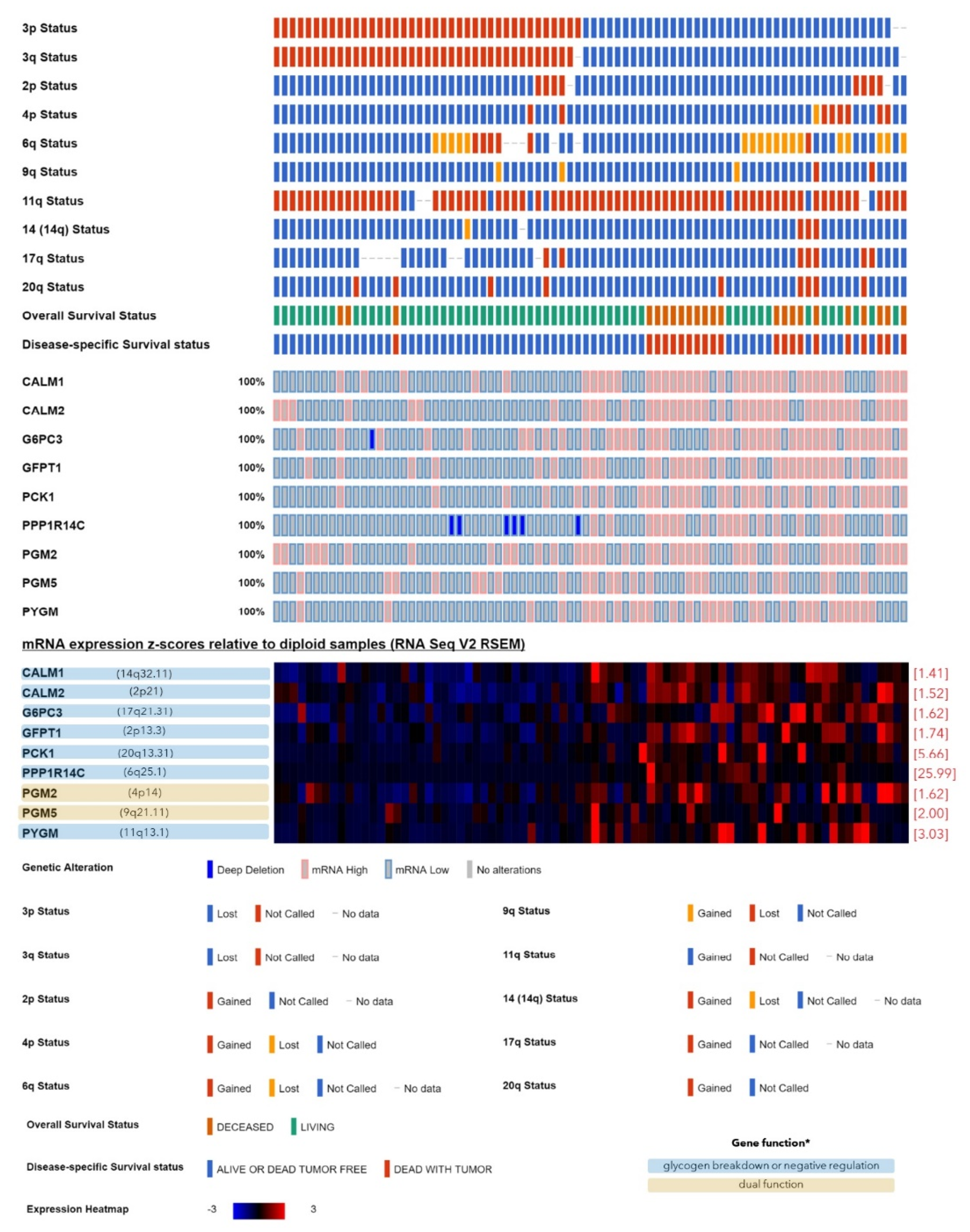 Cancers 12 02101 g003