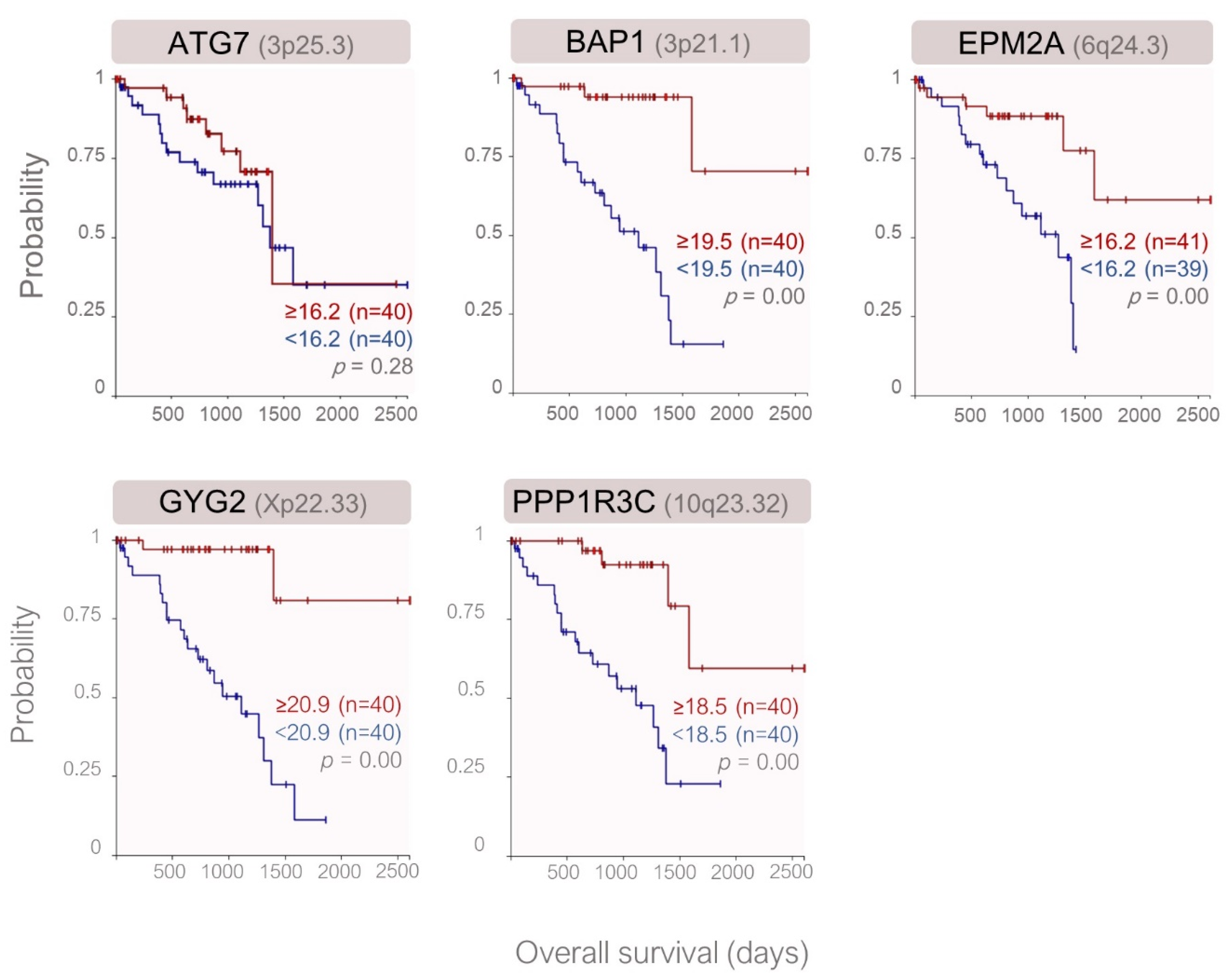 Cancers 12 02101 g005