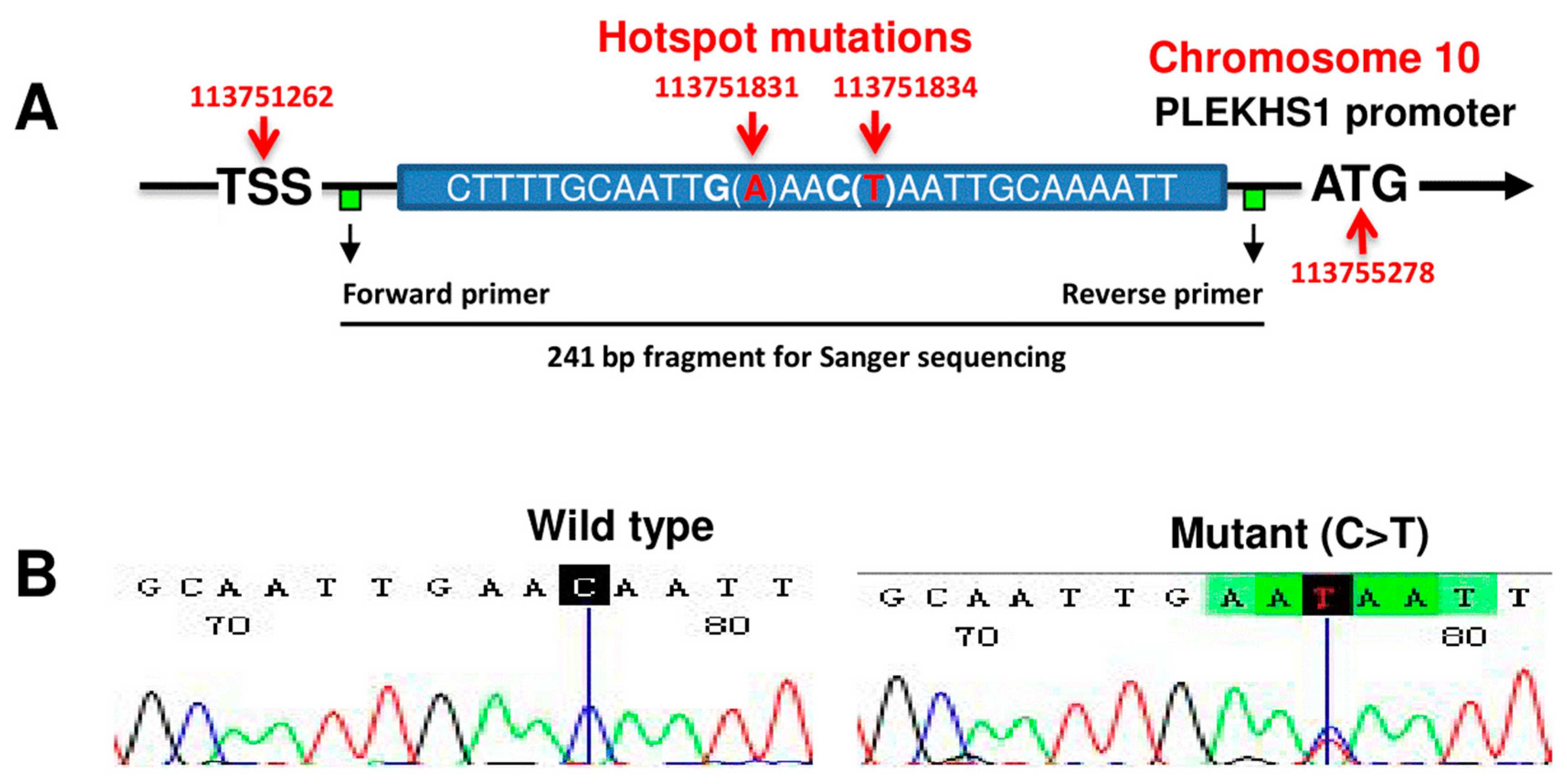 Cancers 12 02133 g001