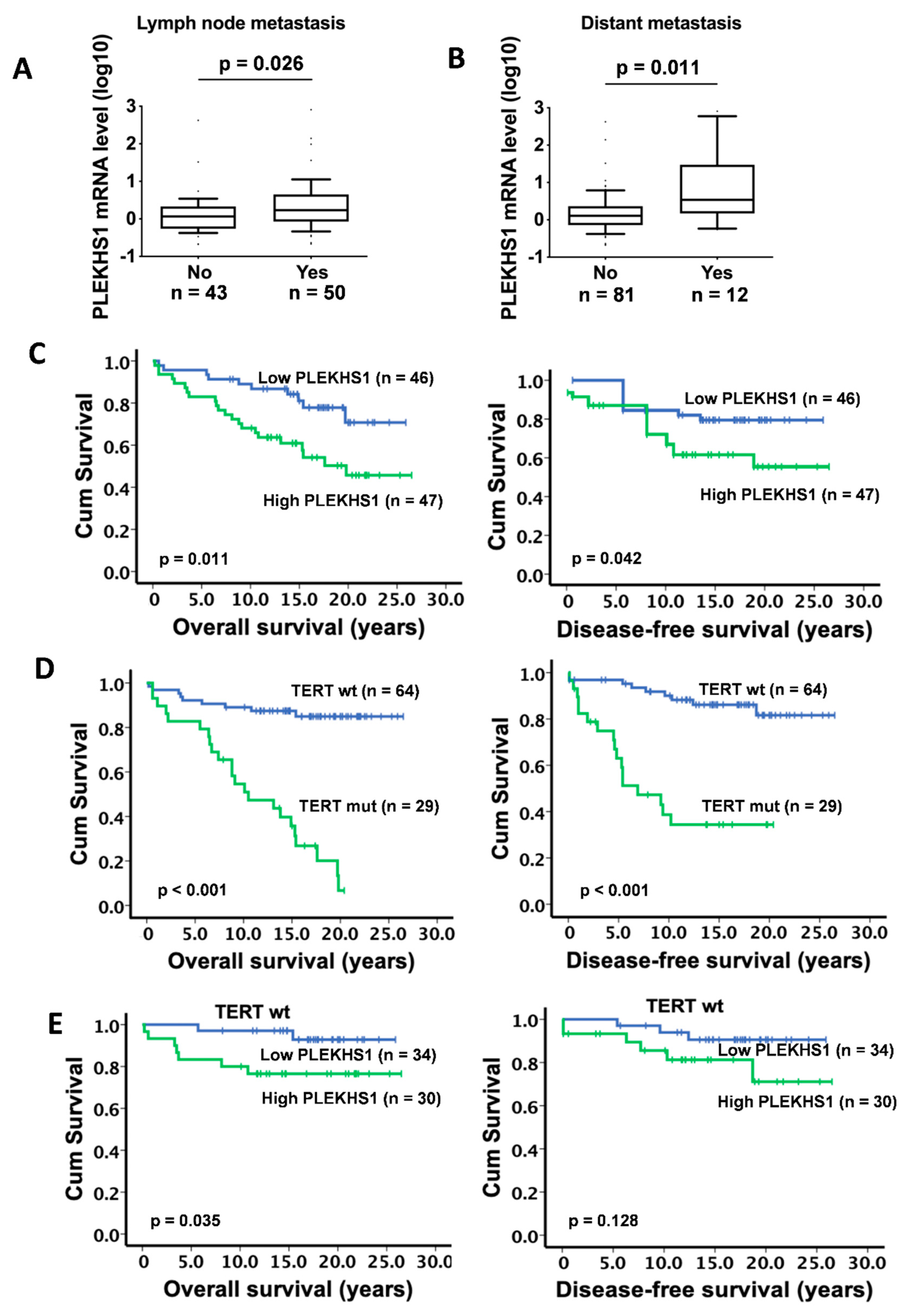 Cancers 12 02133 g003