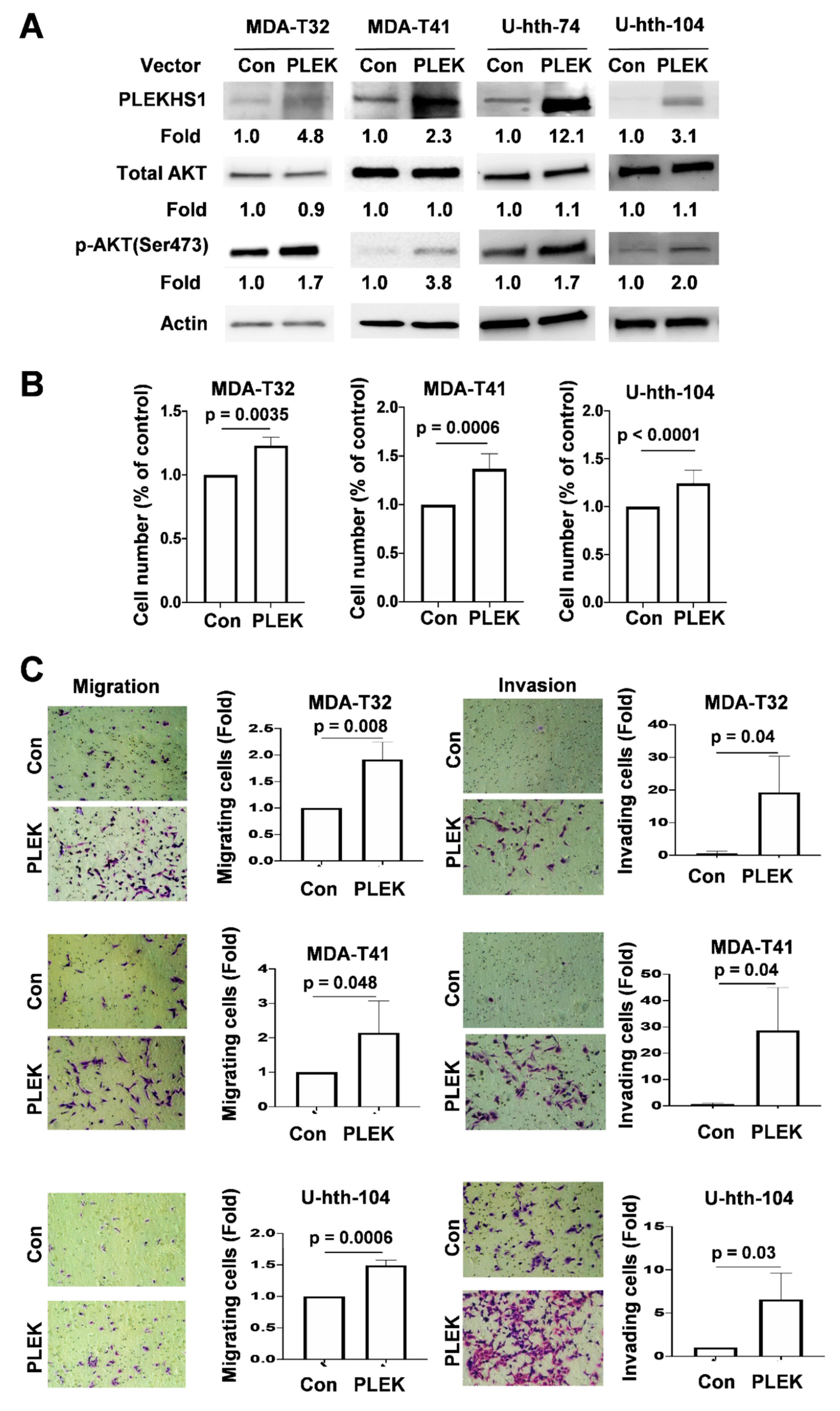 Cancers 12 02133 g004