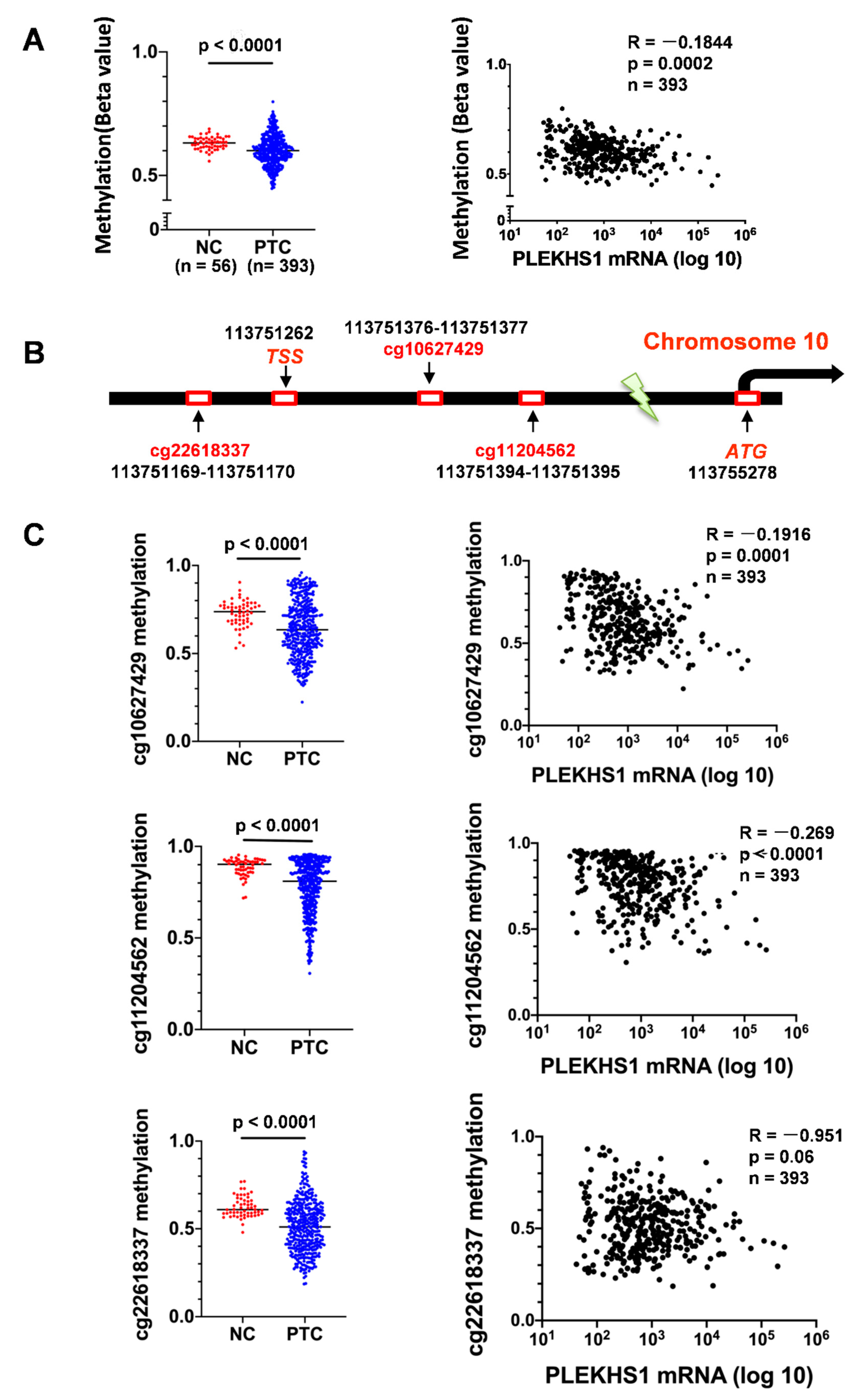 Cancers 12 02133 g005