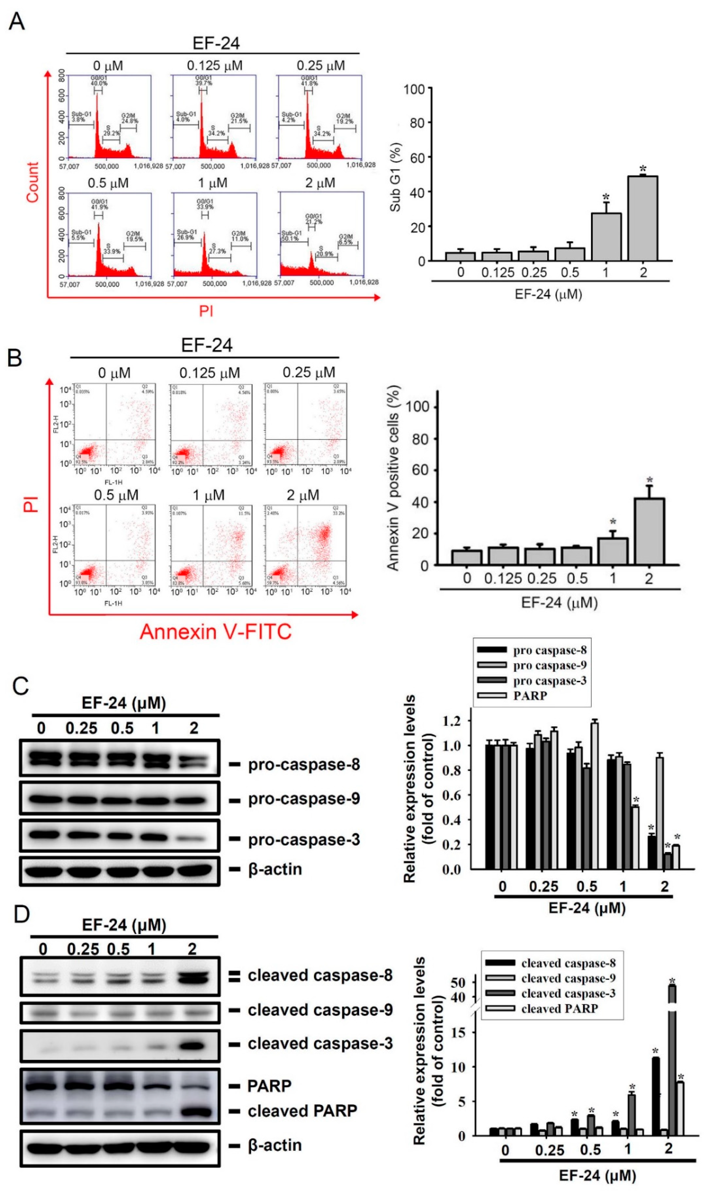 Cancers 12 02163 g002