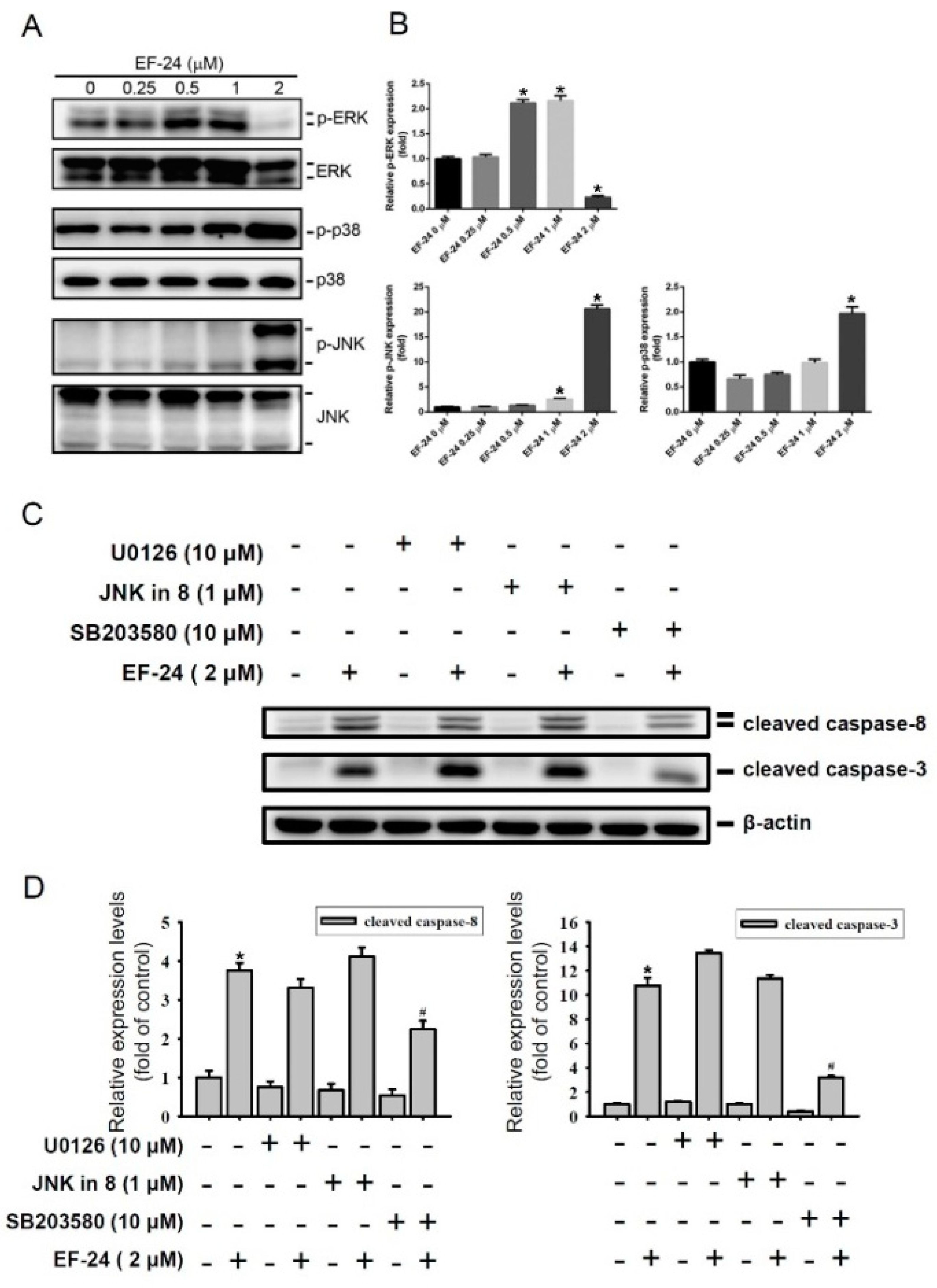 Cancers 12 02163 g003