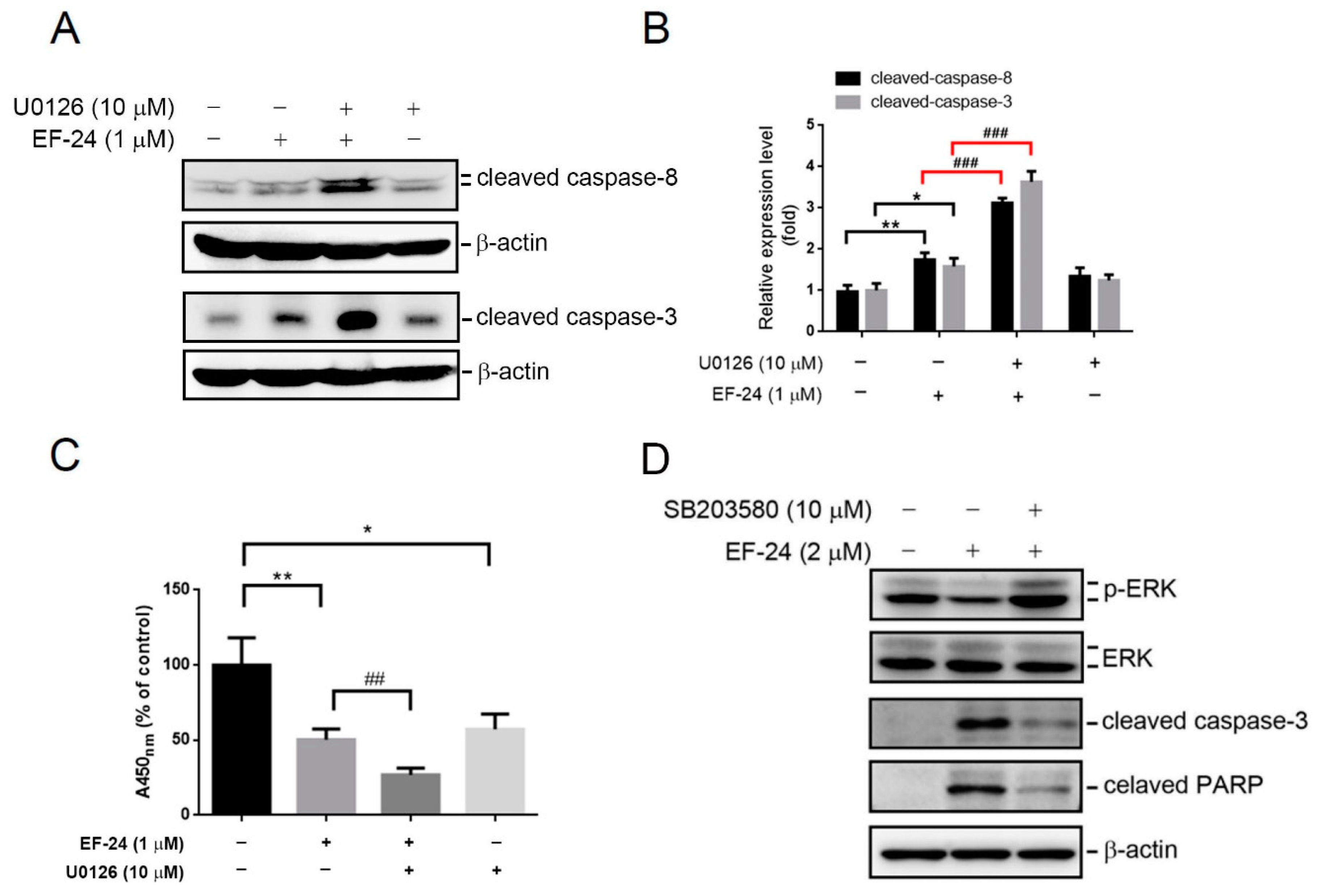Cancers 12 02163 g004