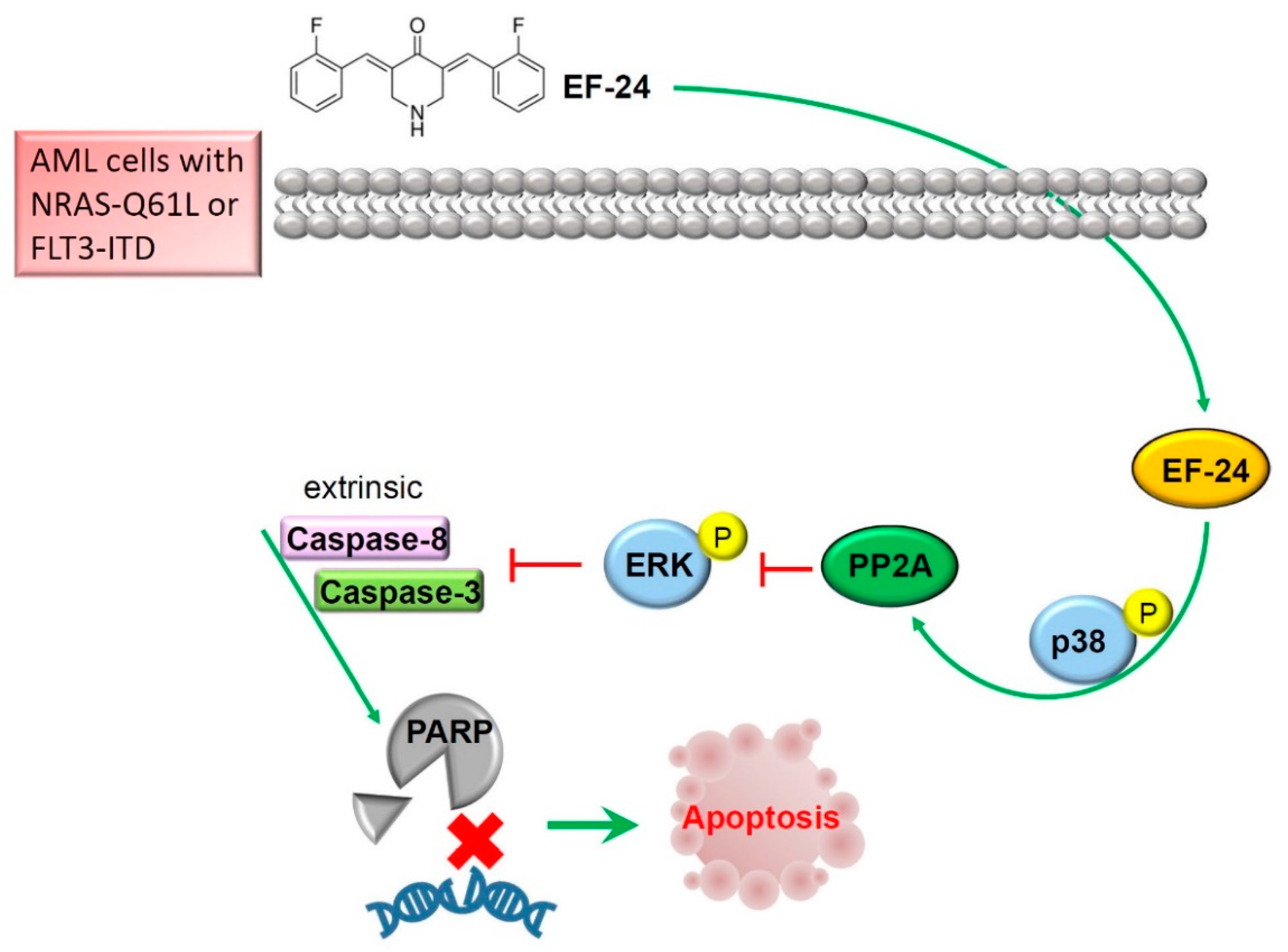 Cancers 12 02163 g006