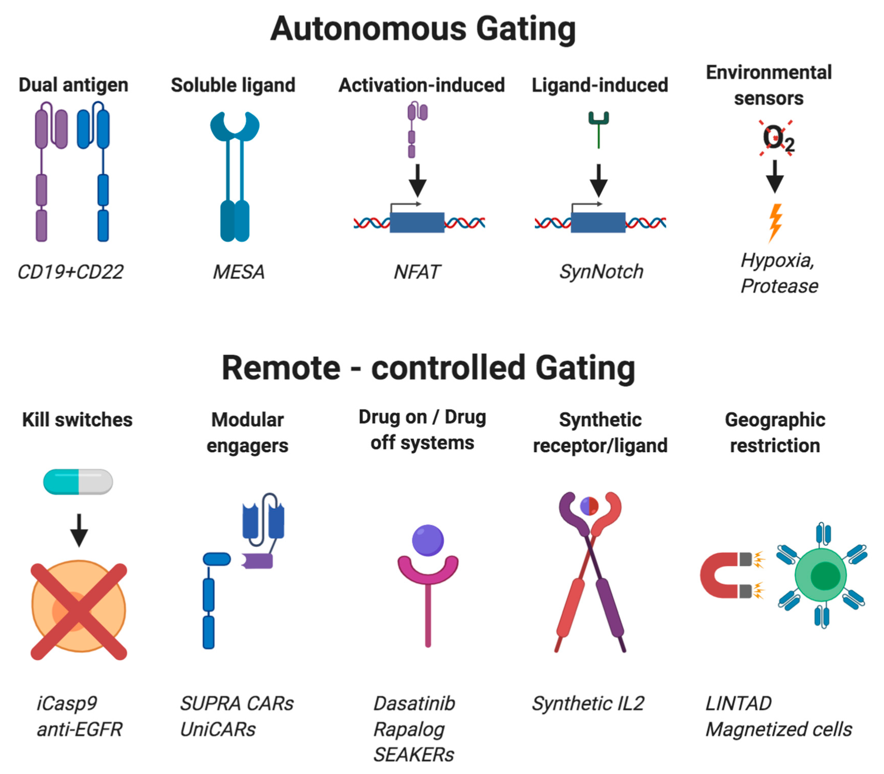 Cancers 12 02175 g002