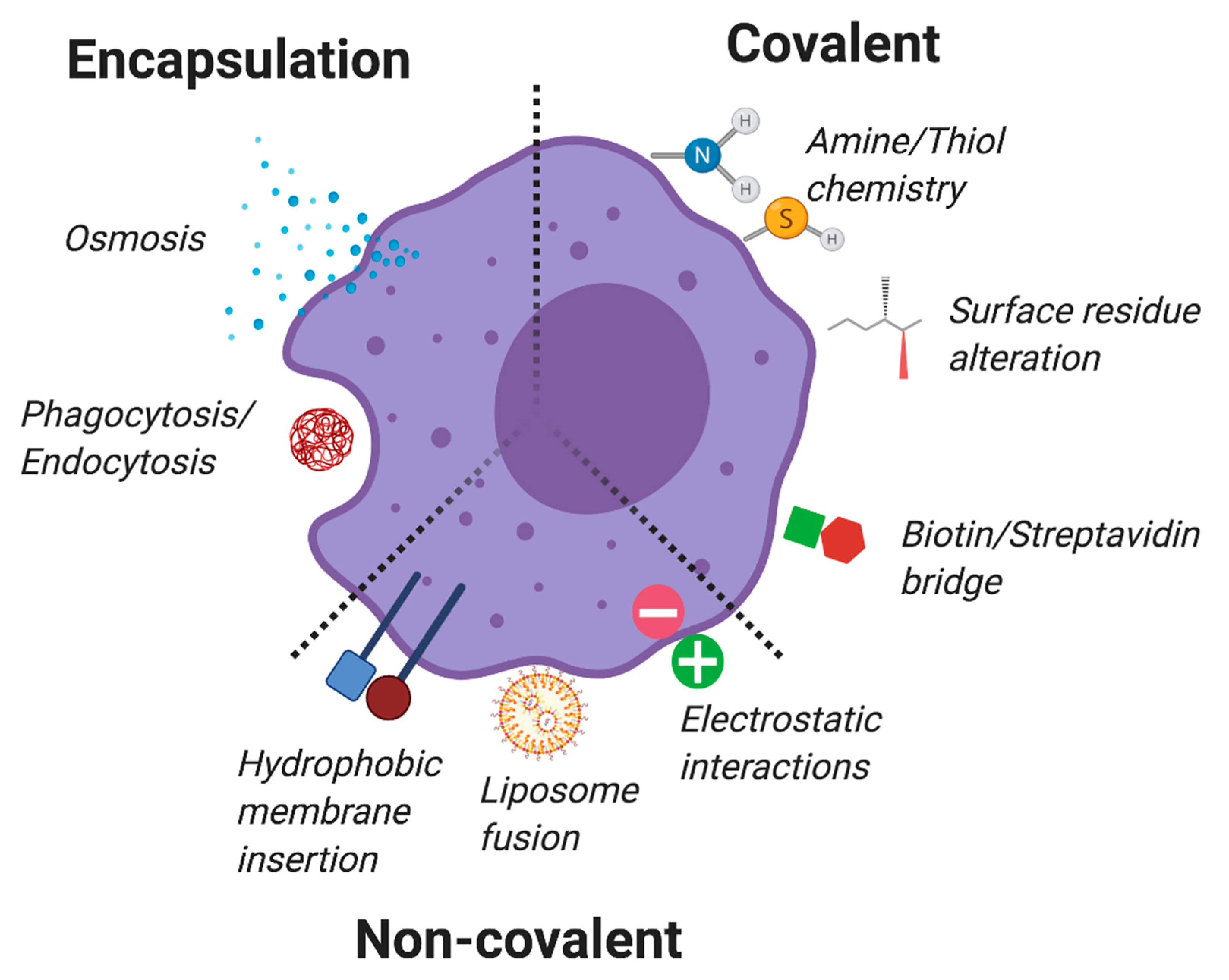 Cancers 12 02175 g003