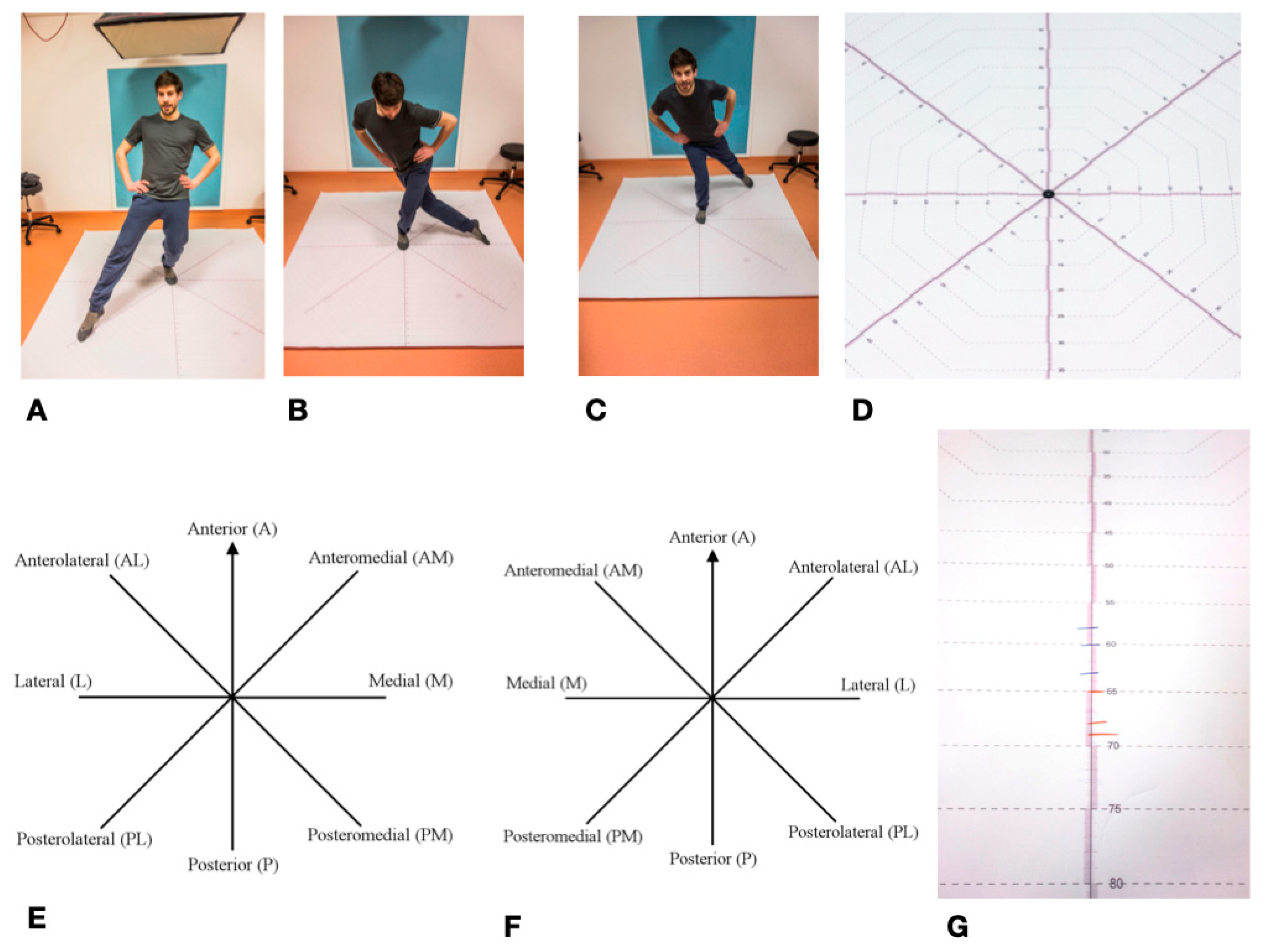 Cancers 12 02217 g008 Cancers 12 02217 g008