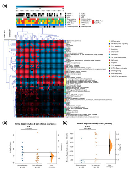 Cancers | Free Full-Text | Pre-Existing Tumoral B Cell Infiltration and  Impaired Genome Maintenance Correlate with Response to Chemoradiotherapy in  Locally Advanced Rectal Cancer | HTML