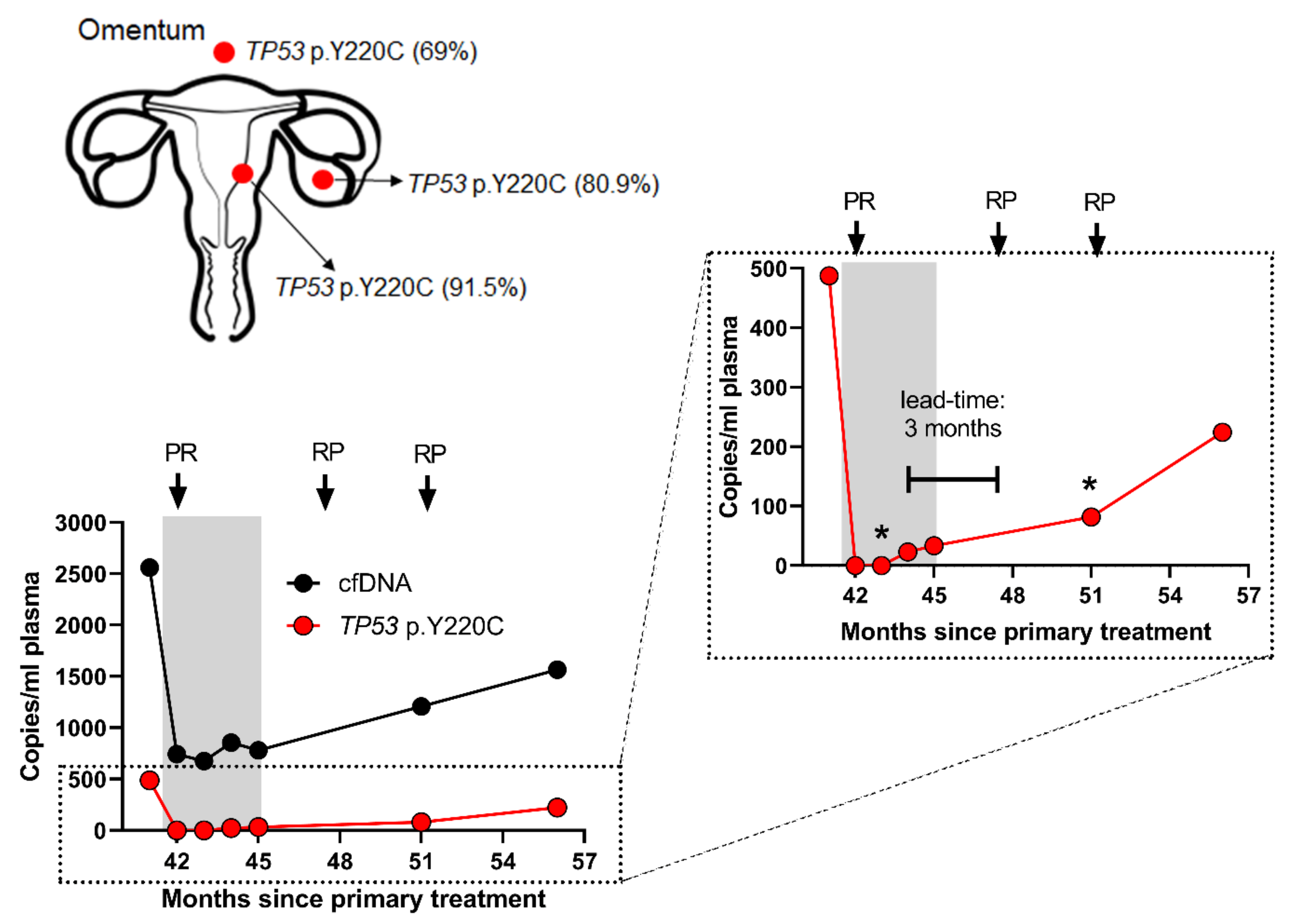 Cancers 12 02231 g002 Cancers 12 02231 g002