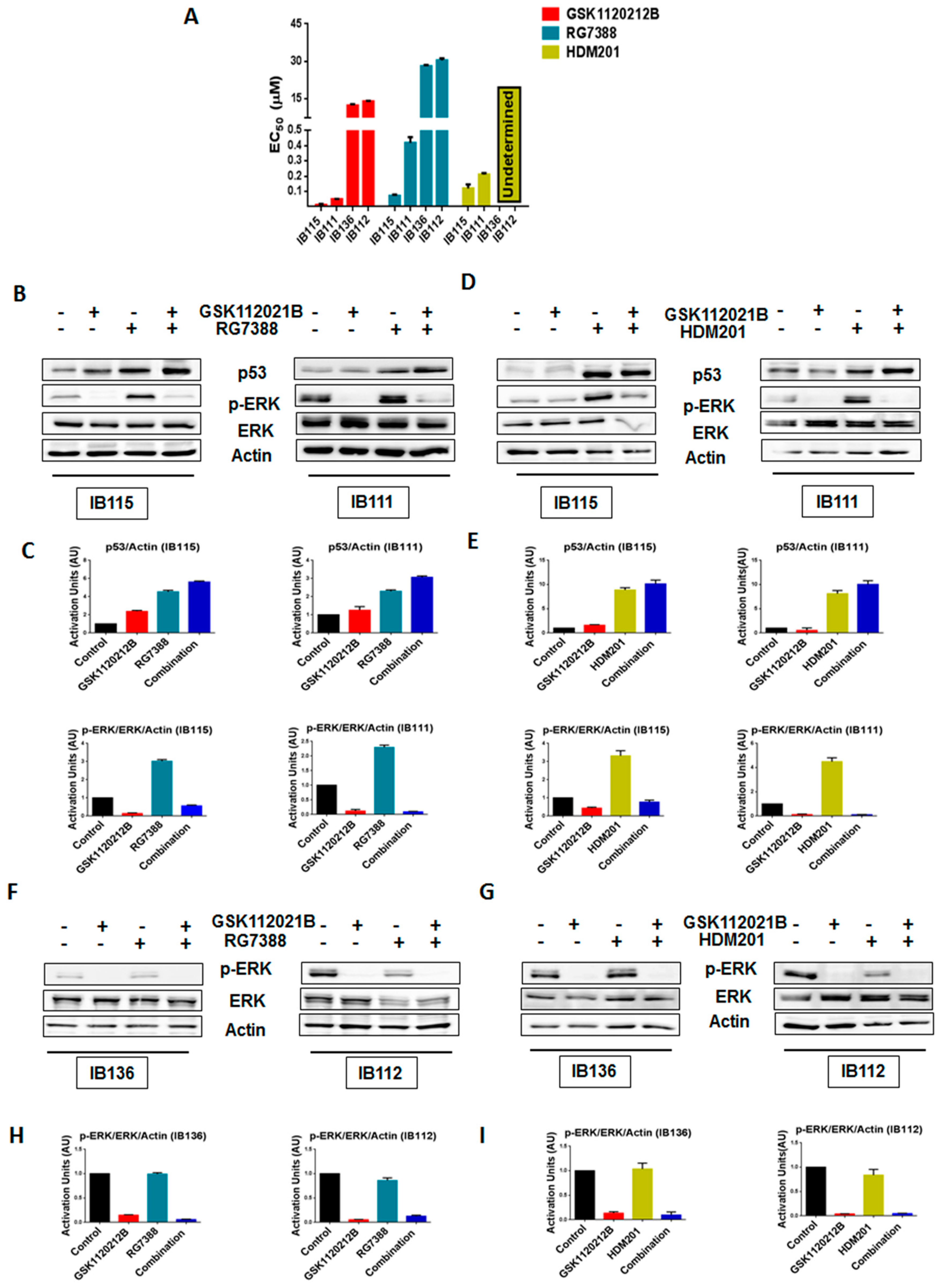 Cancers 12 02253 g001 Cancers 12 02253 g001