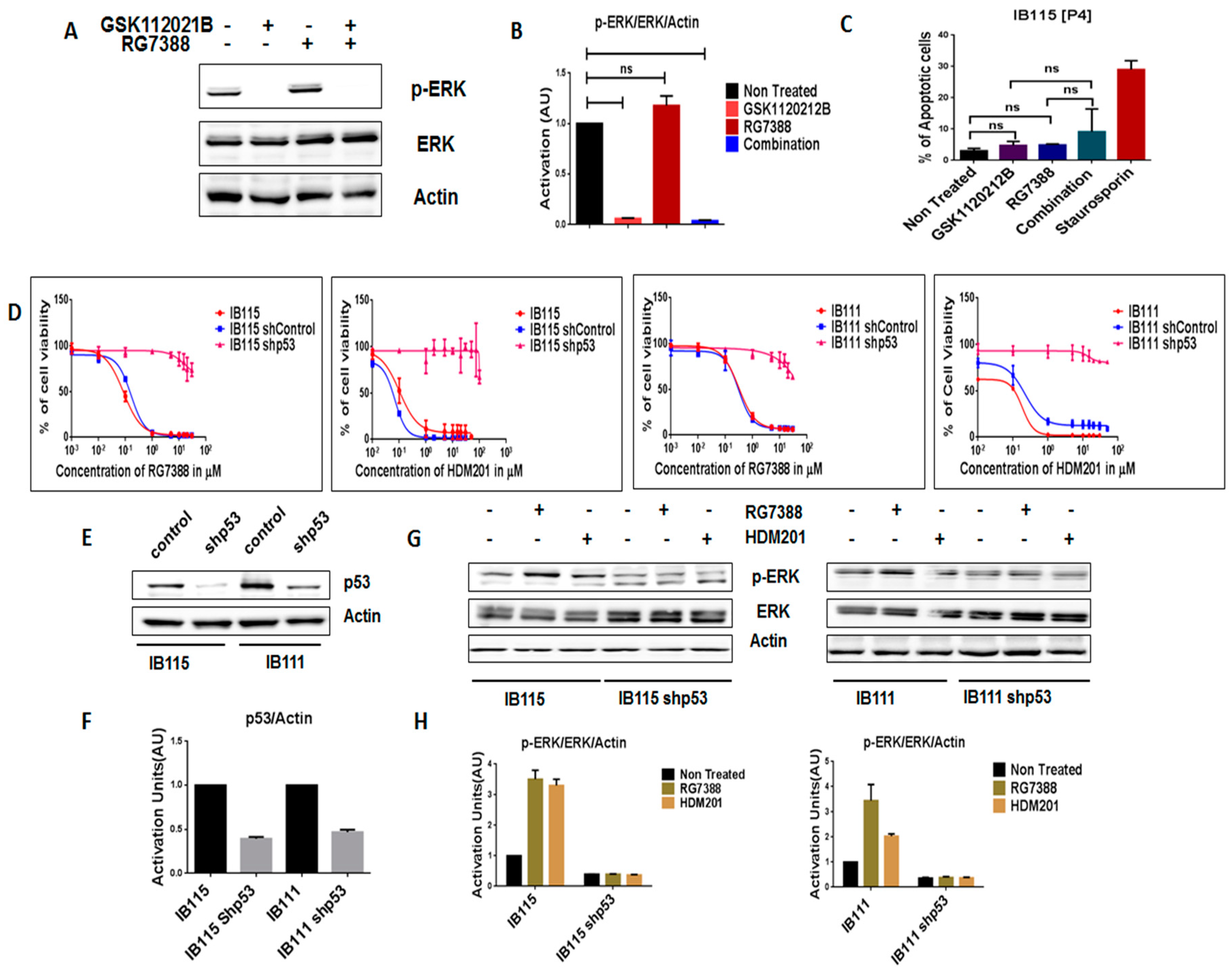 Cancers 12 02253 g003 Cancers 12 02253 g003