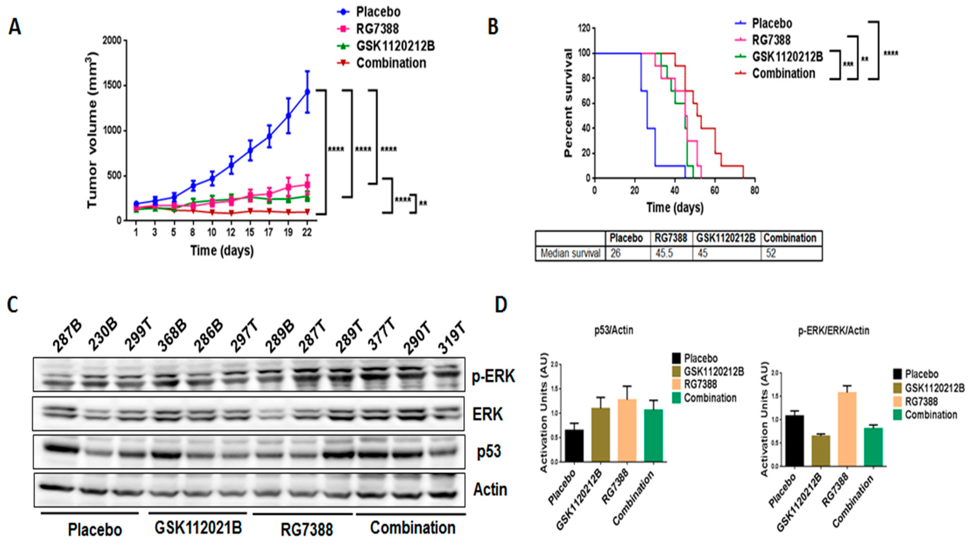 Cancers 12 02253 g004 Cancers 12 02253 g004