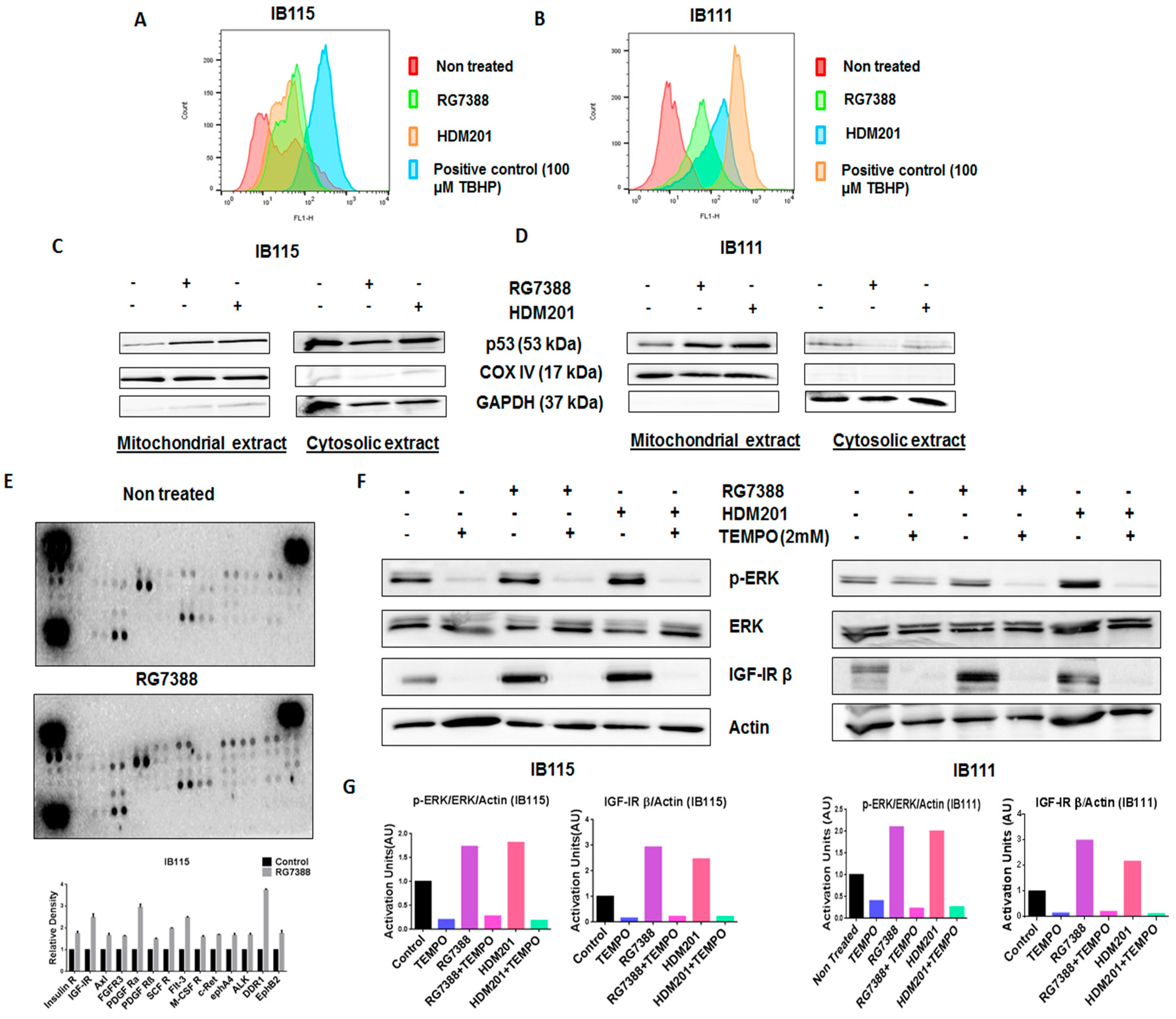 Cancers 12 02253 g005 Cancers 12 02253 g005