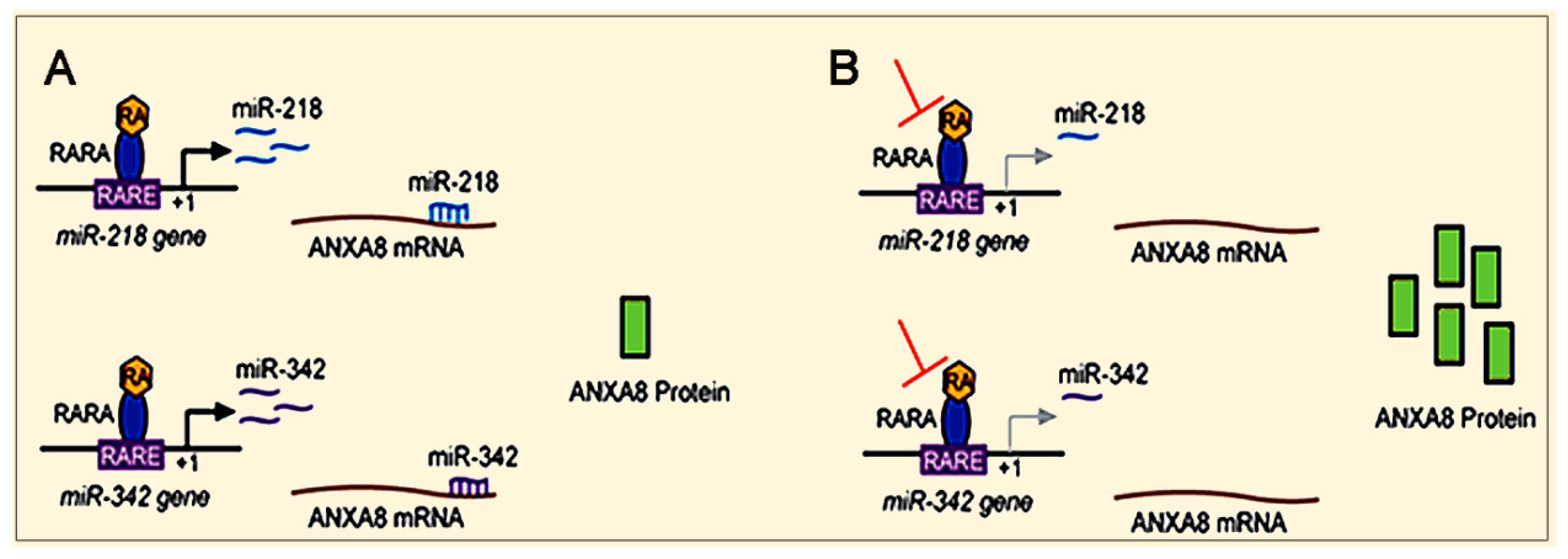 Cancers 12 02275 g005