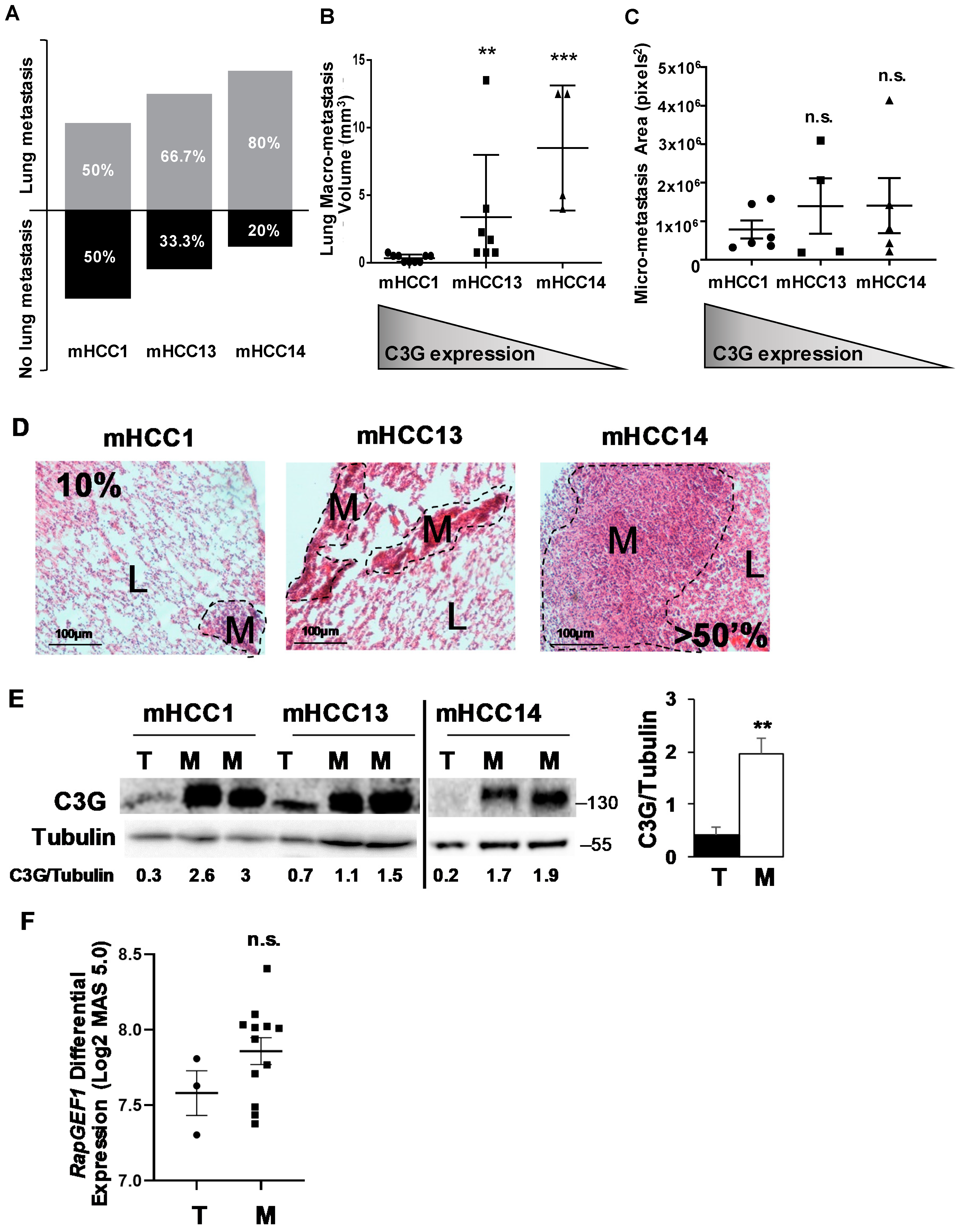 Cancers 12 02282 g005