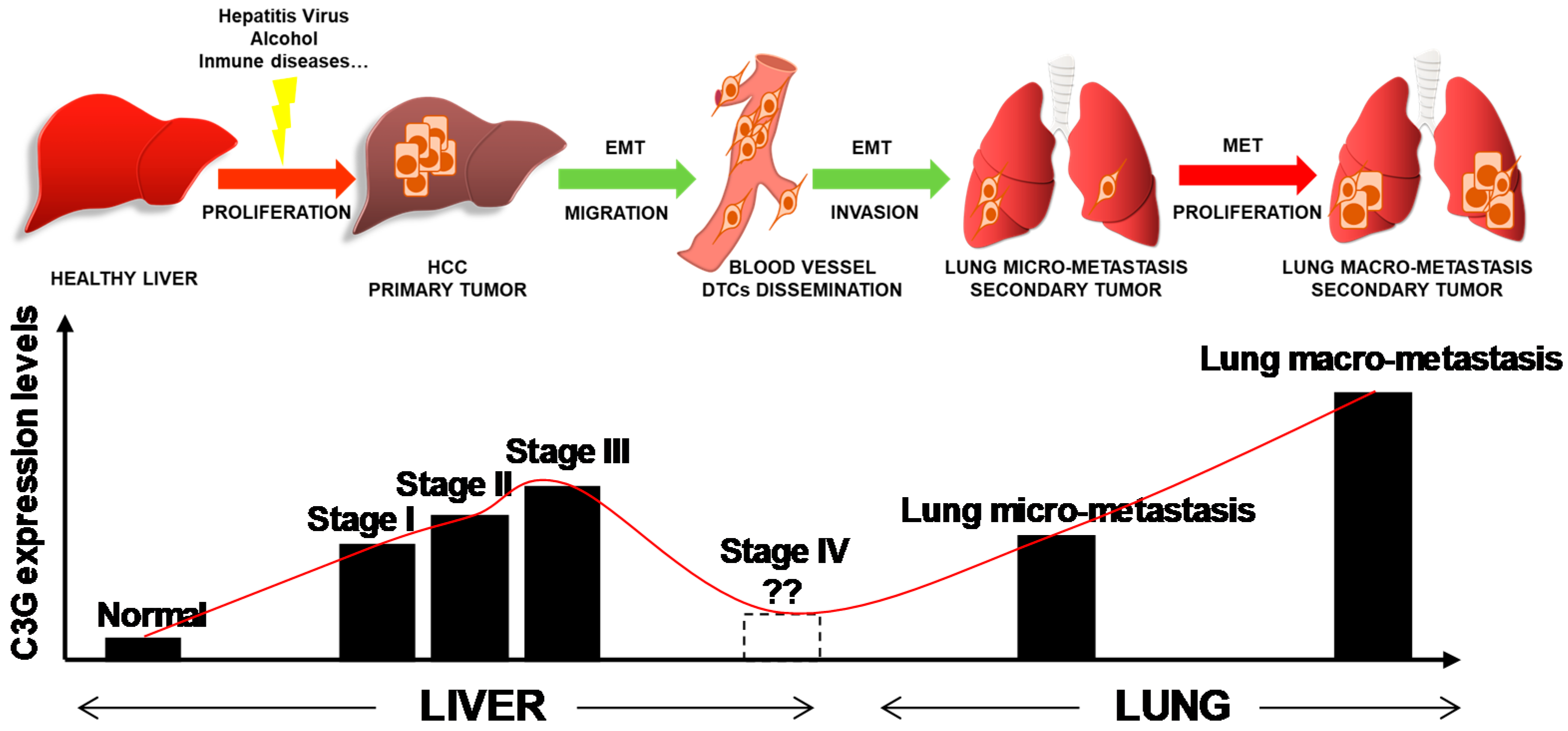 Cancers 12 02282 g007