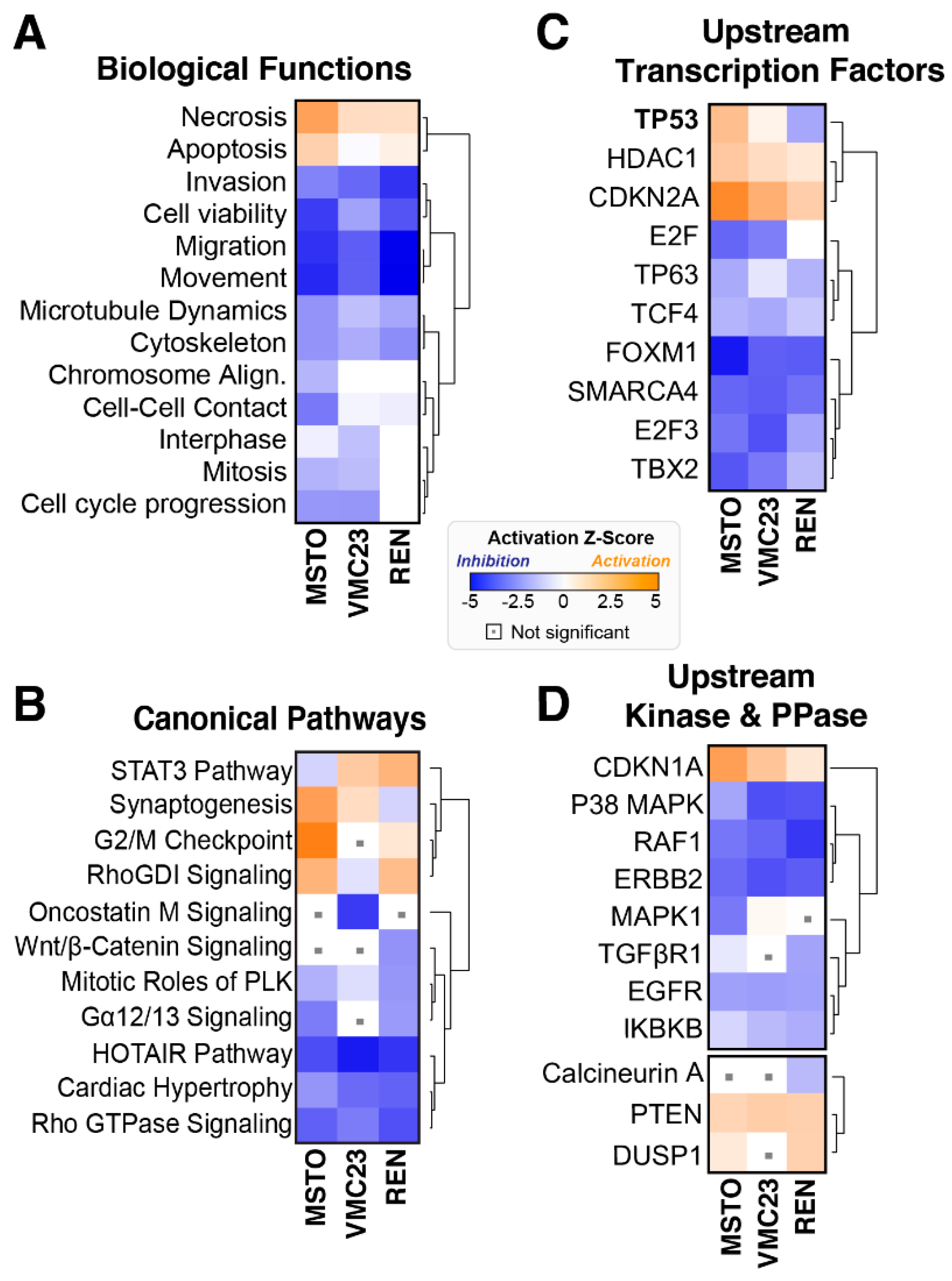 Cancers 12 02285 g003