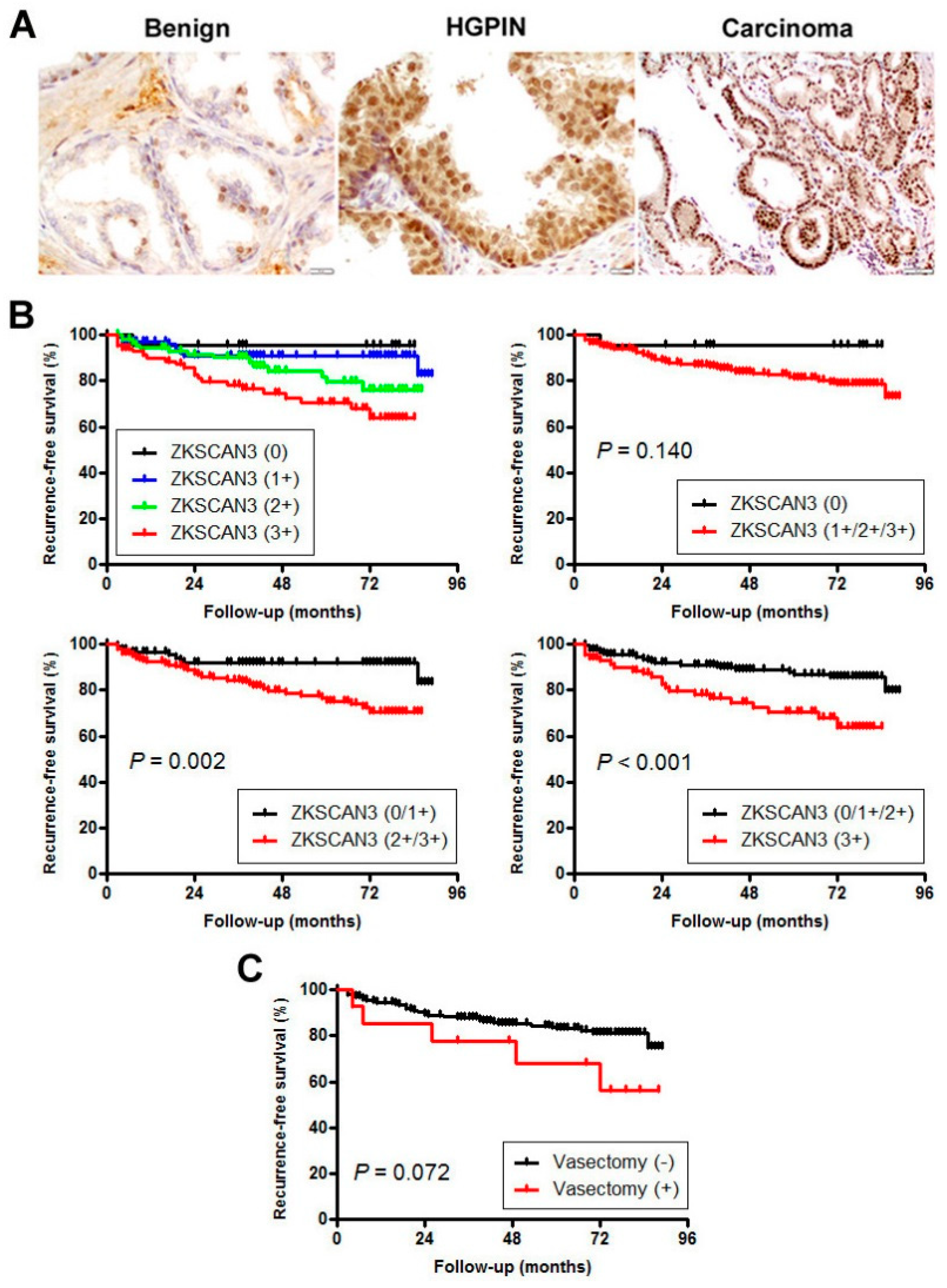 Cancers 12 02295 g003 Cancers 12 02295 g003