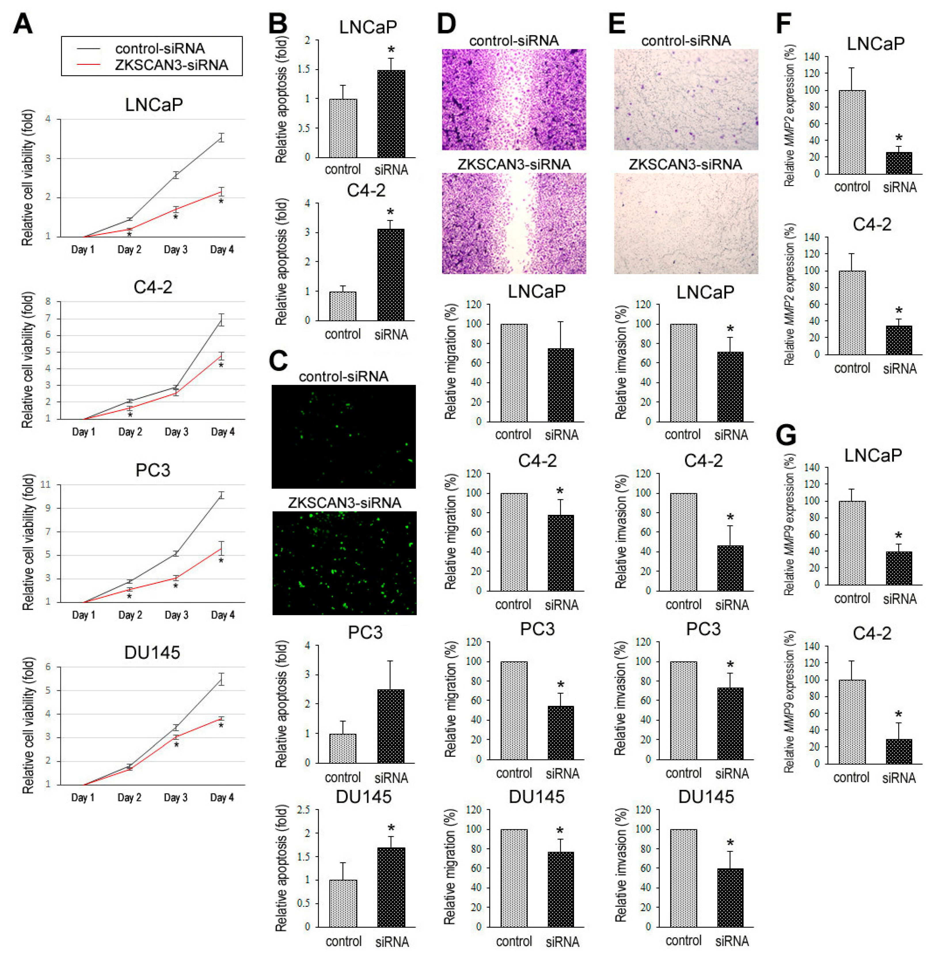 Cancers 12 02295 g005 Cancers 12 02295 g005