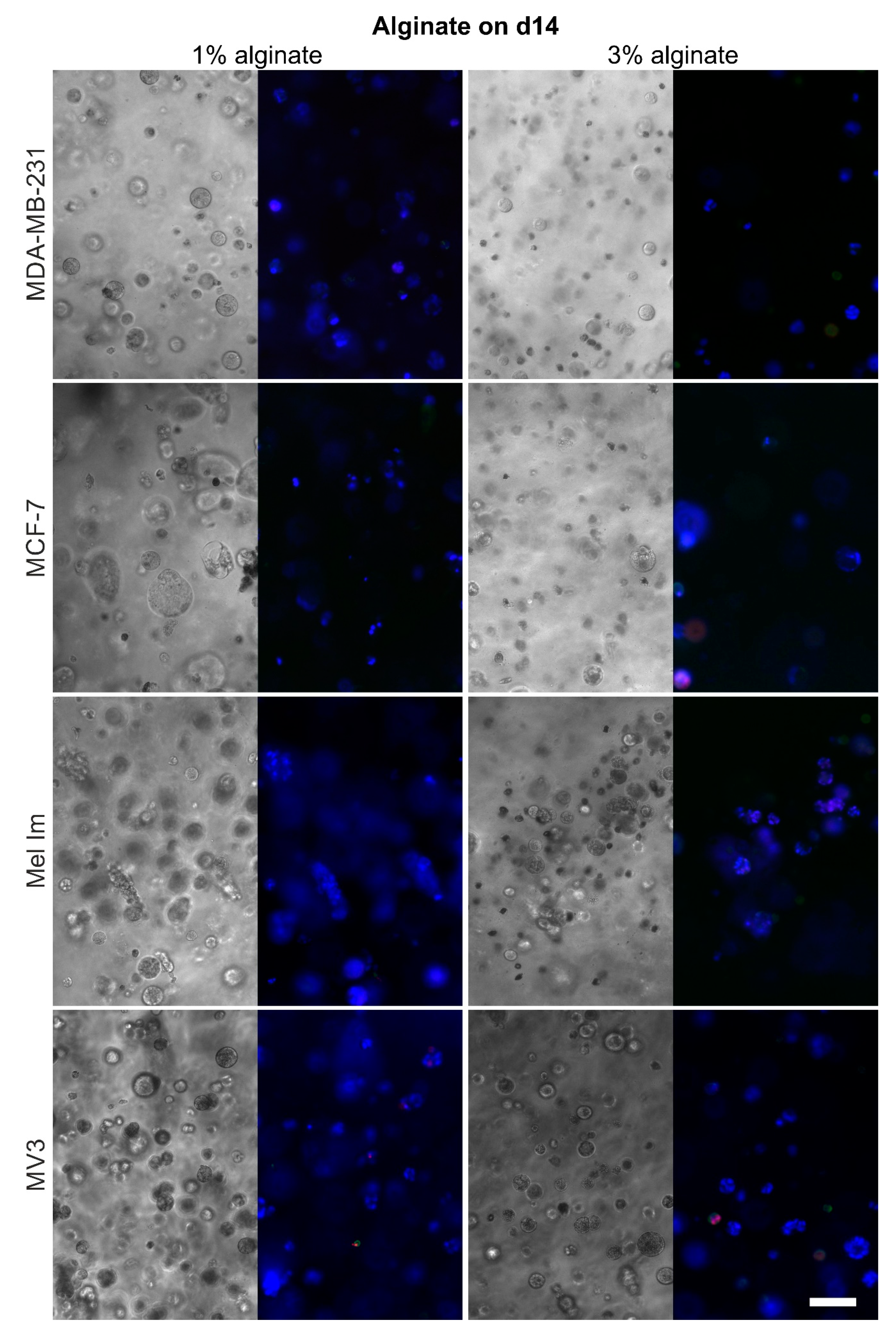 Cancers 12 02320 g004 Cancers 12 02320 g004